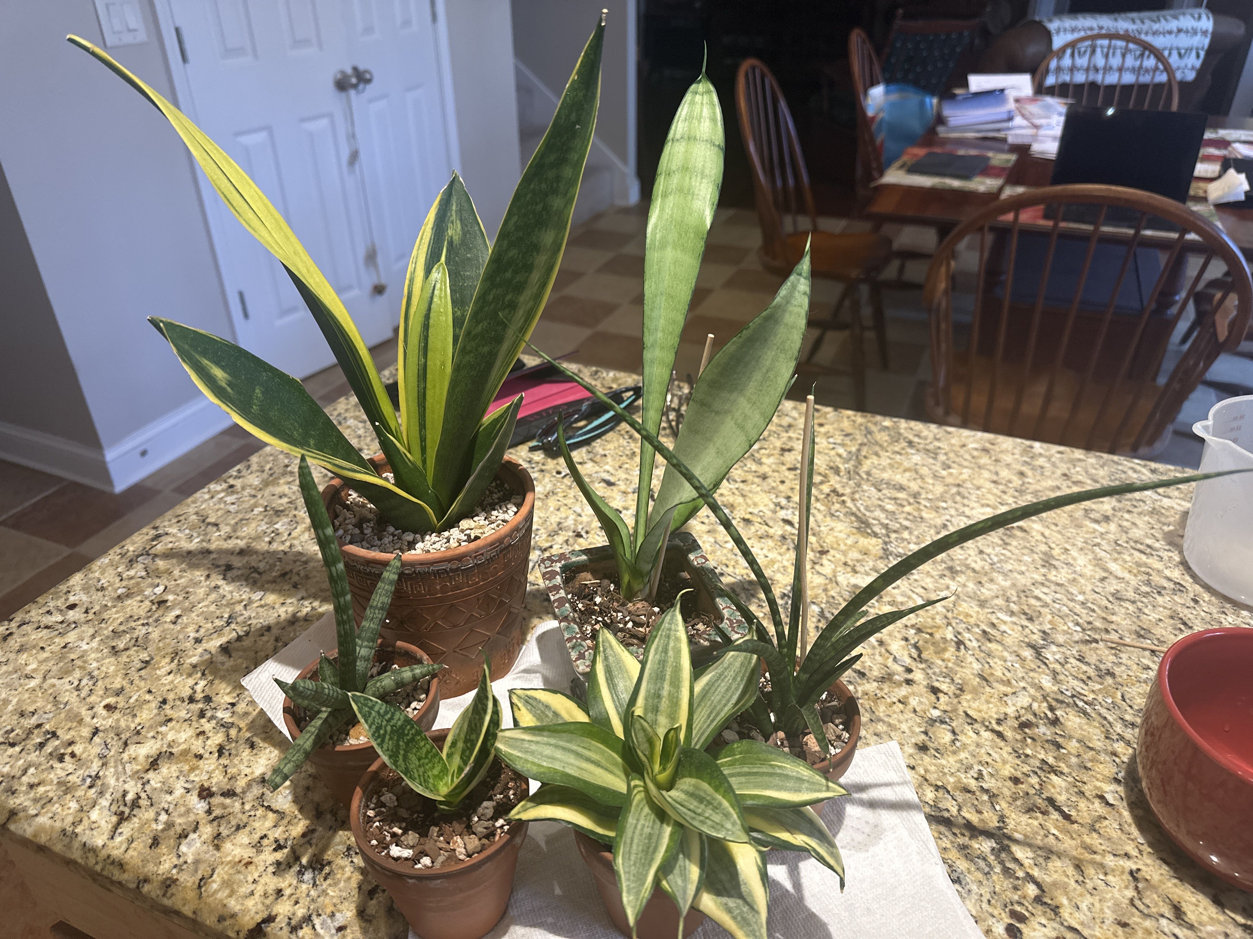 Photo from the post