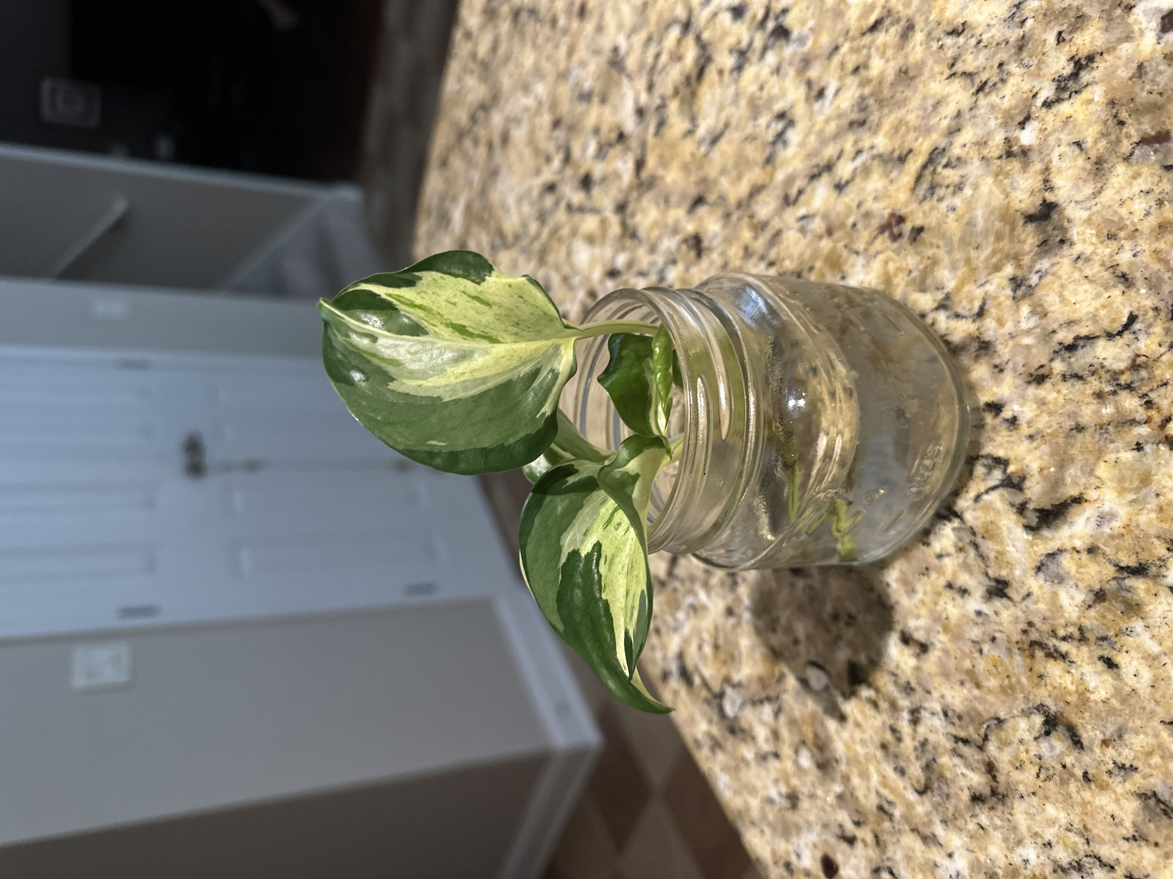Photo from the post