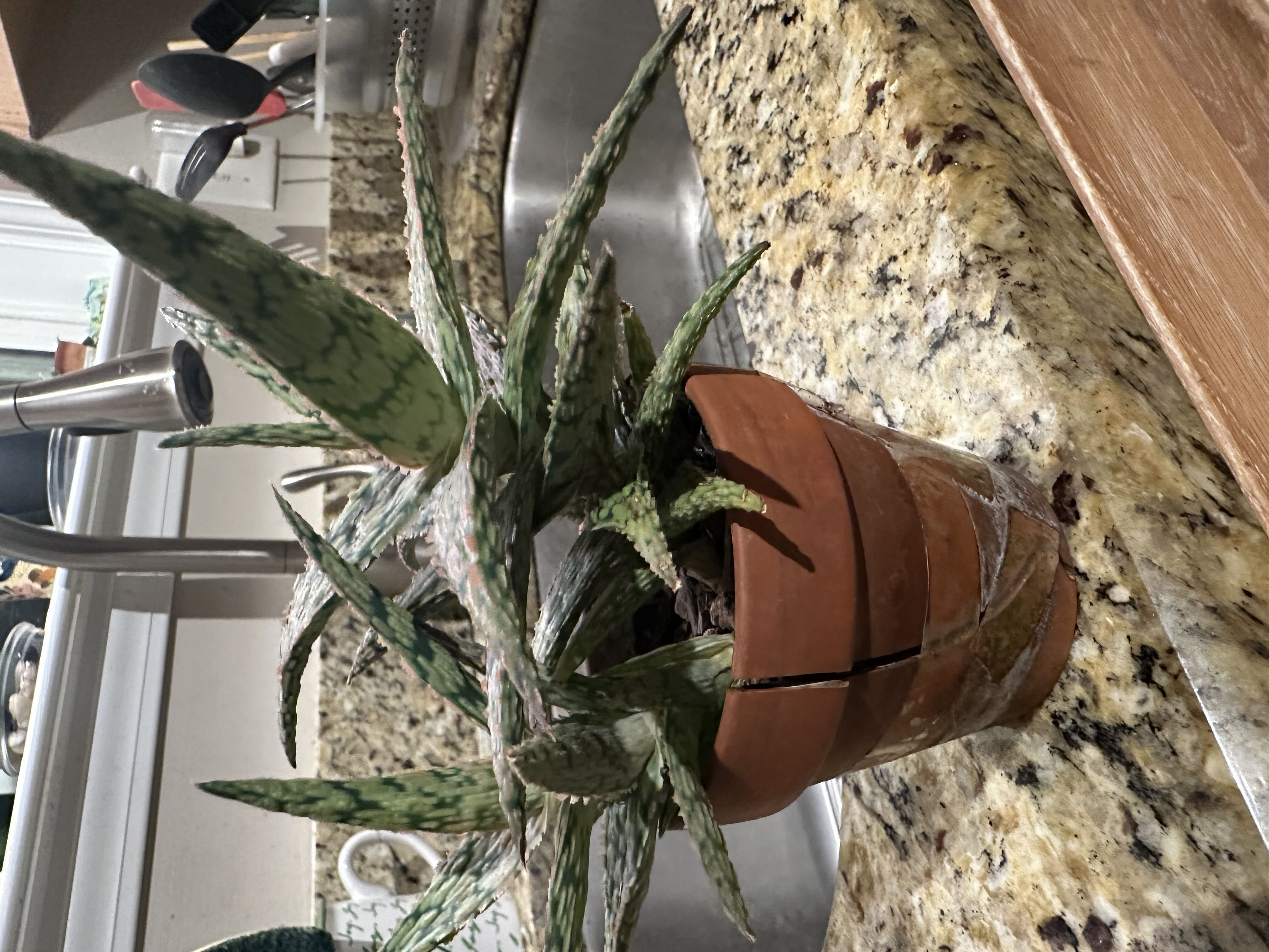 Photo from the post