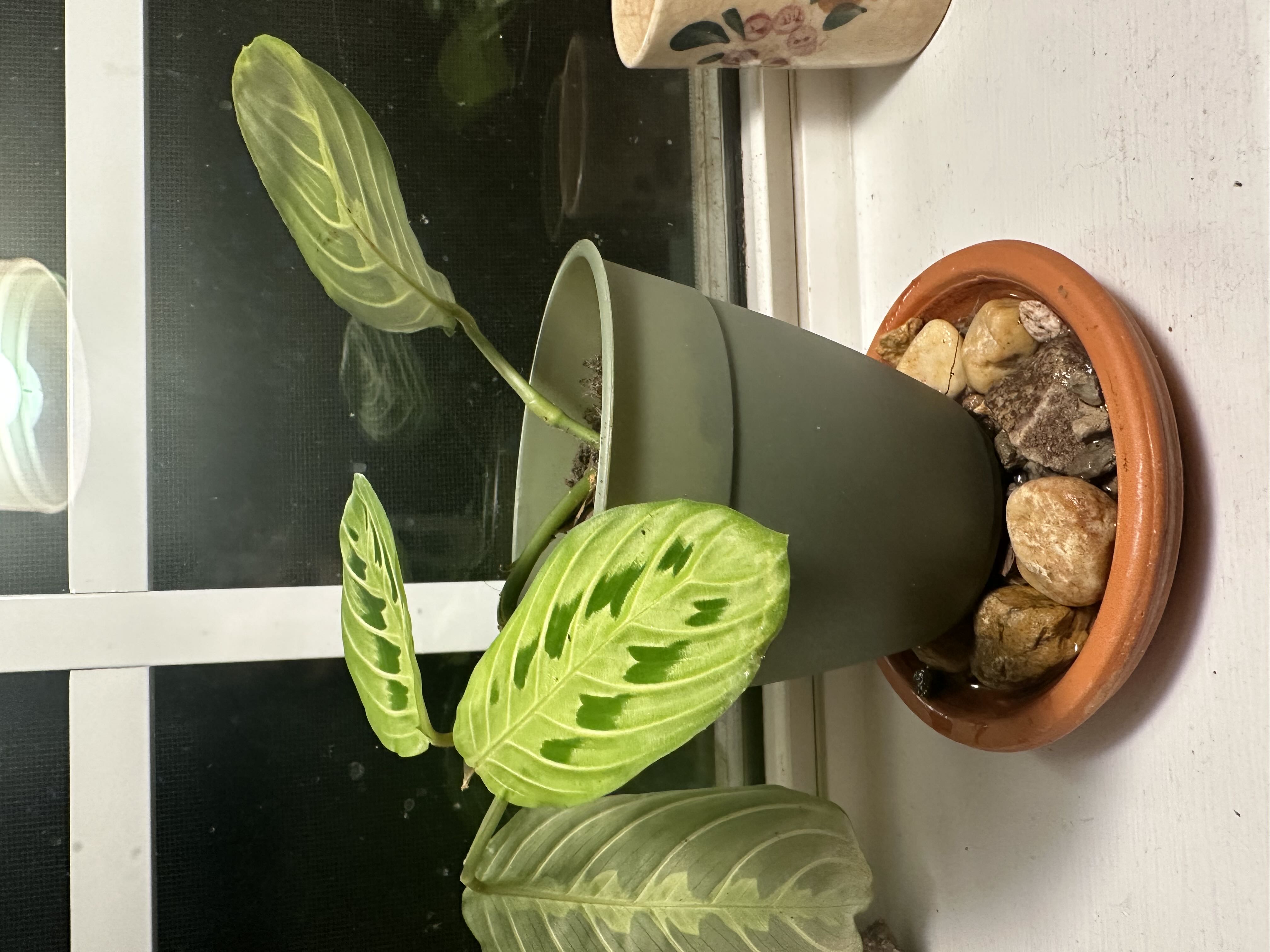 Photo from the post