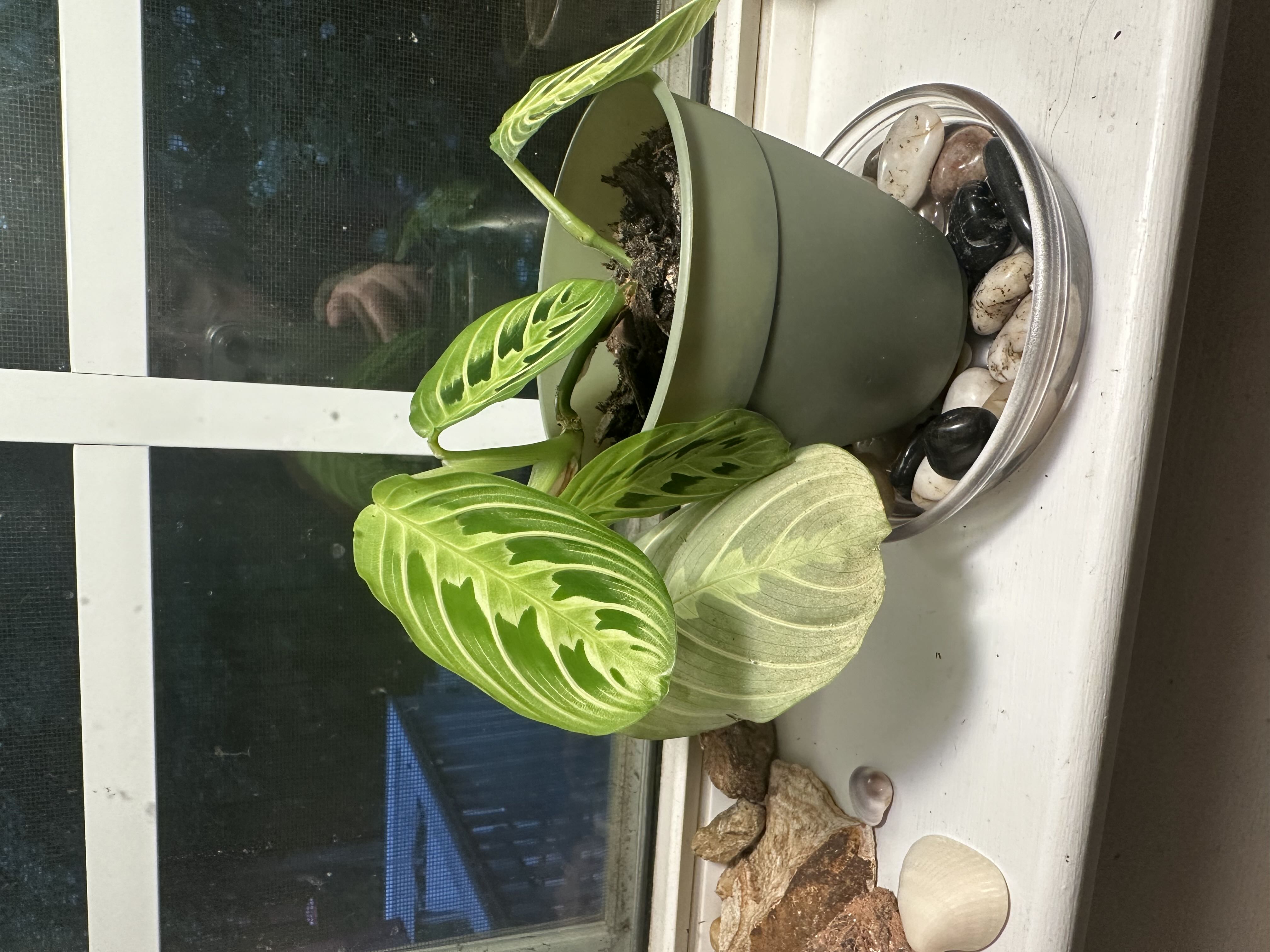 Photo from the post