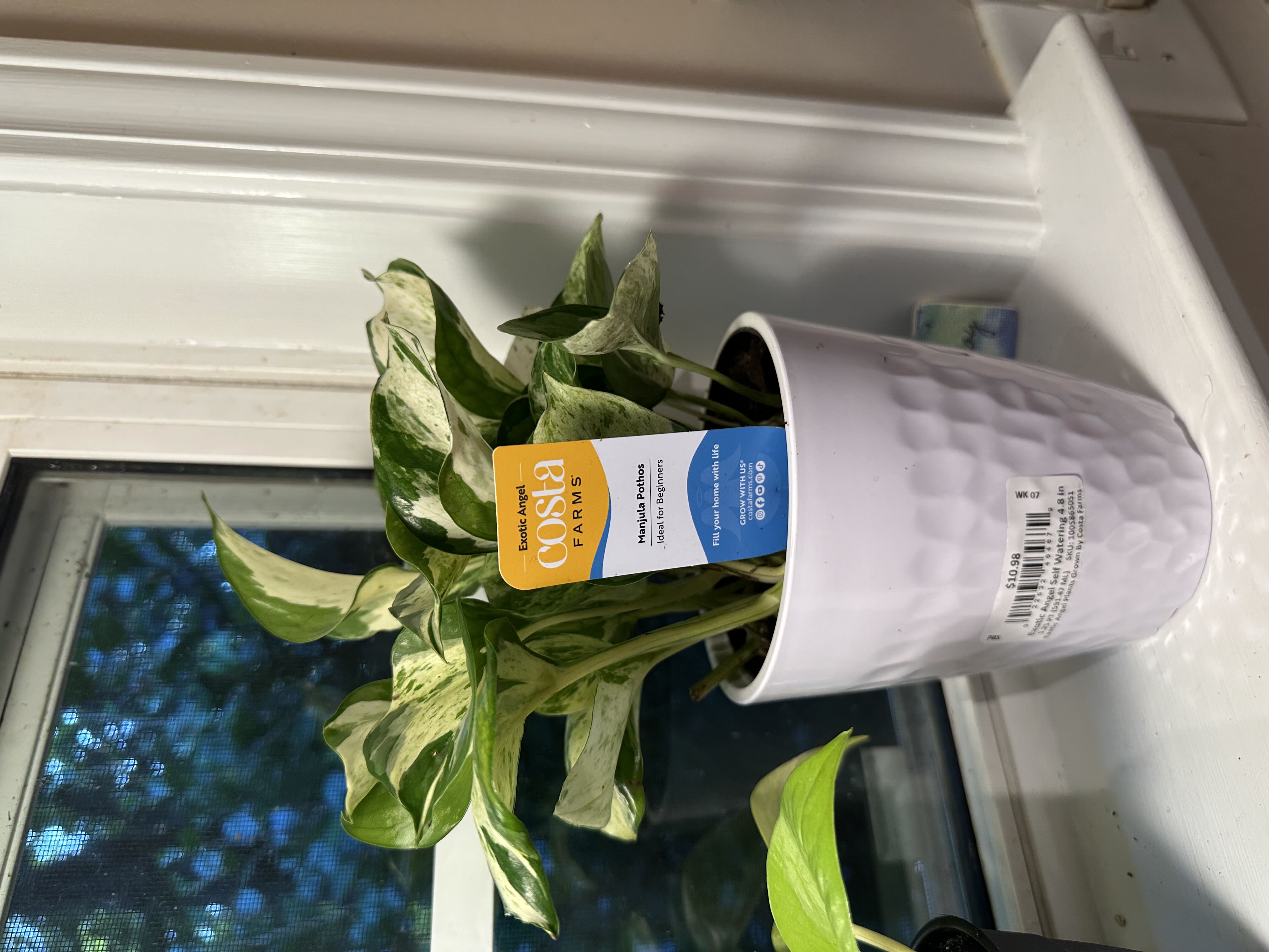 Photo from the post