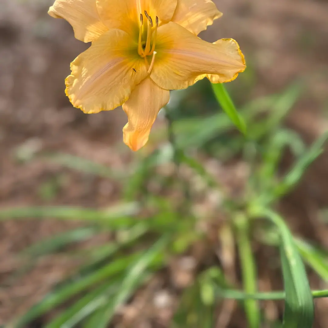 Photo from the post