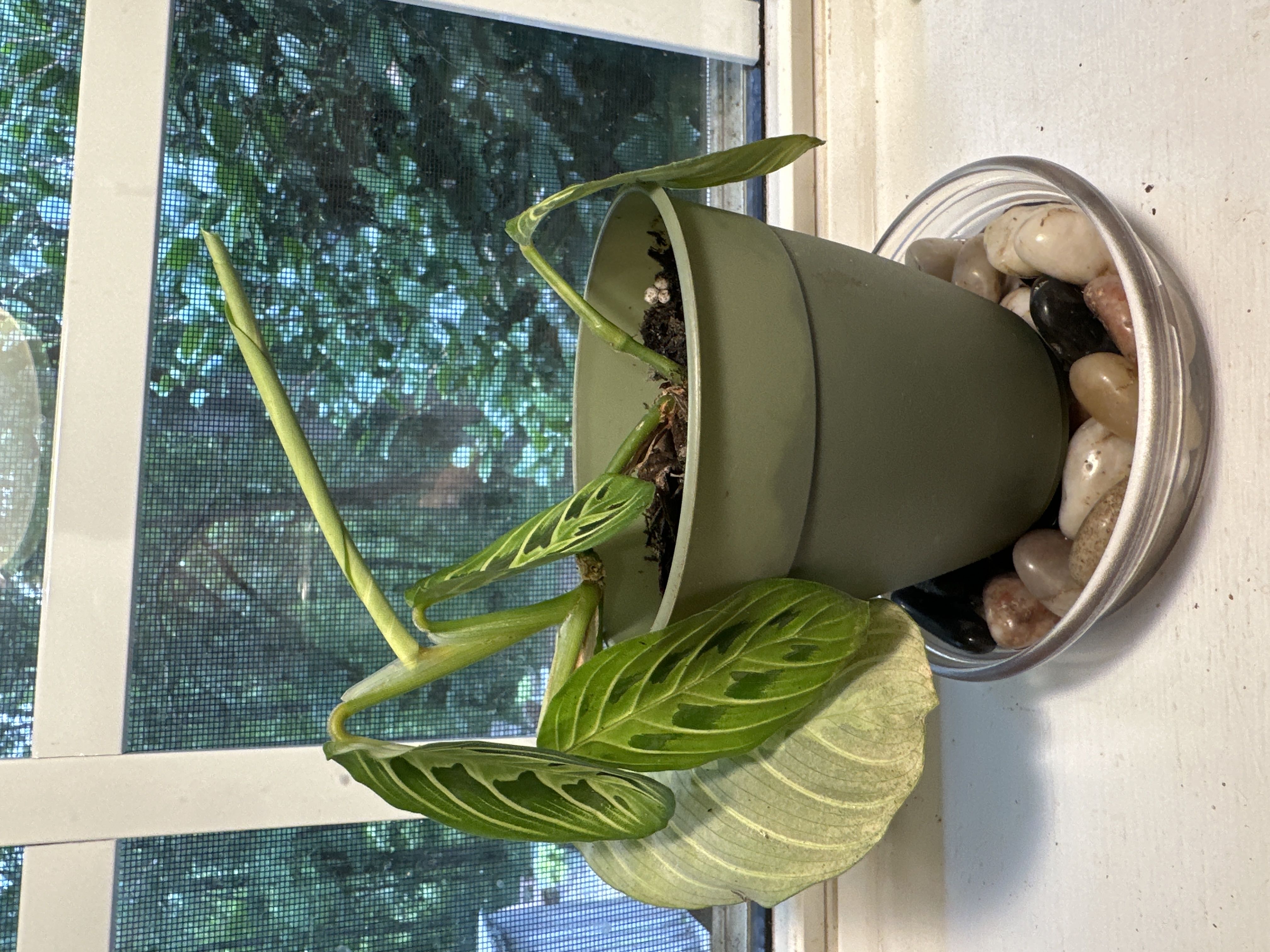 Photo from the post