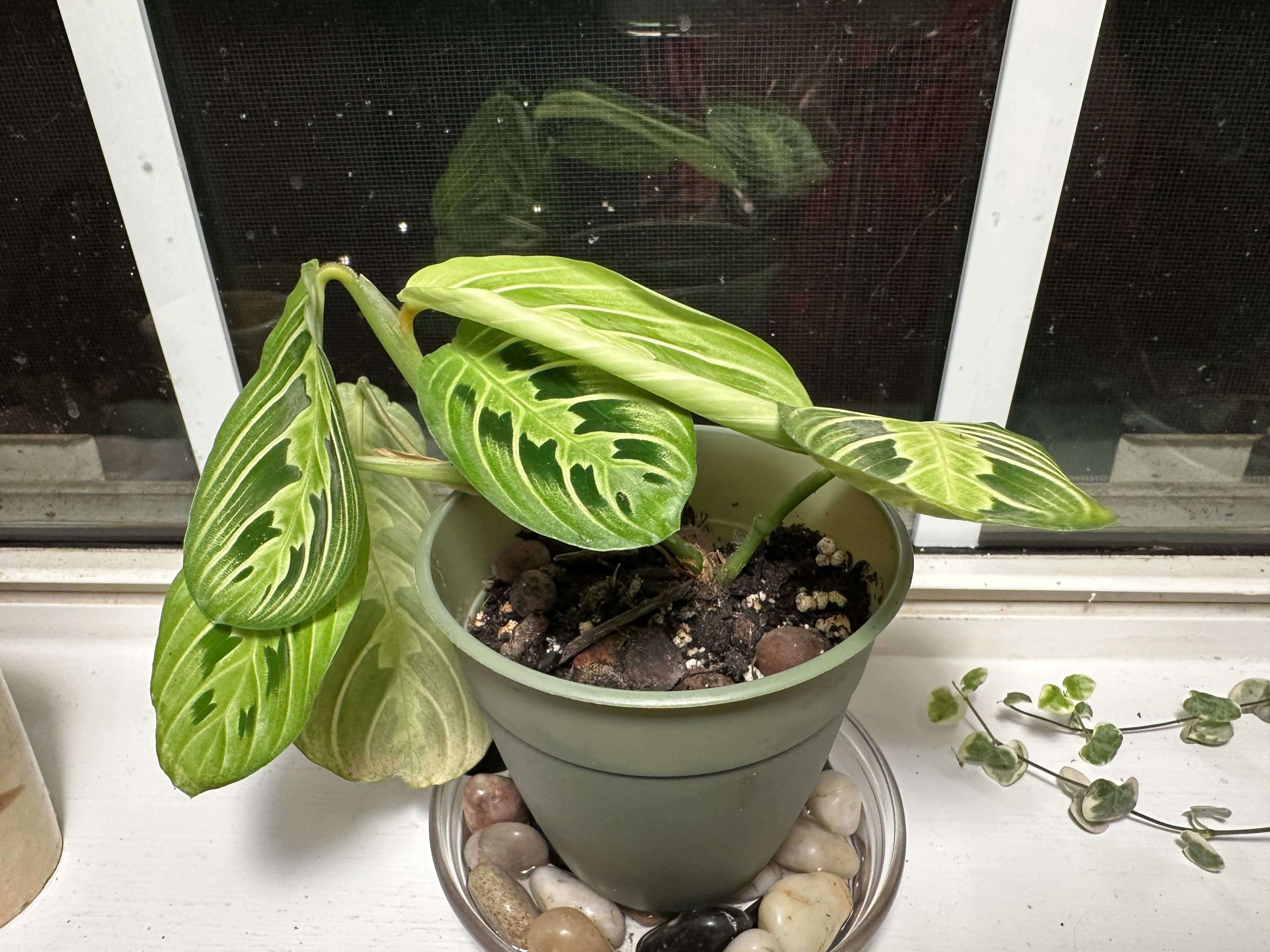 Photo from the post
