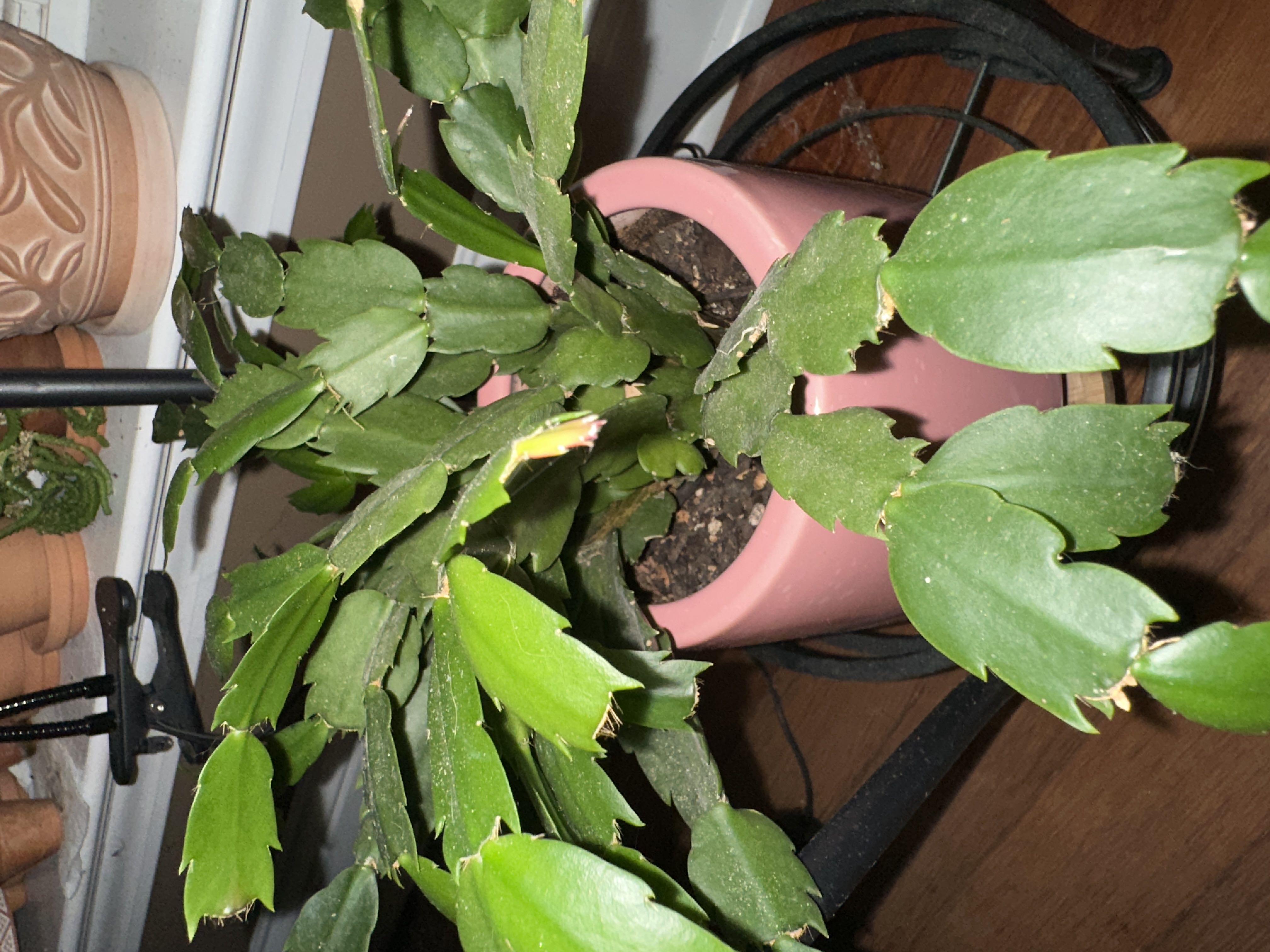 Photo from the post
