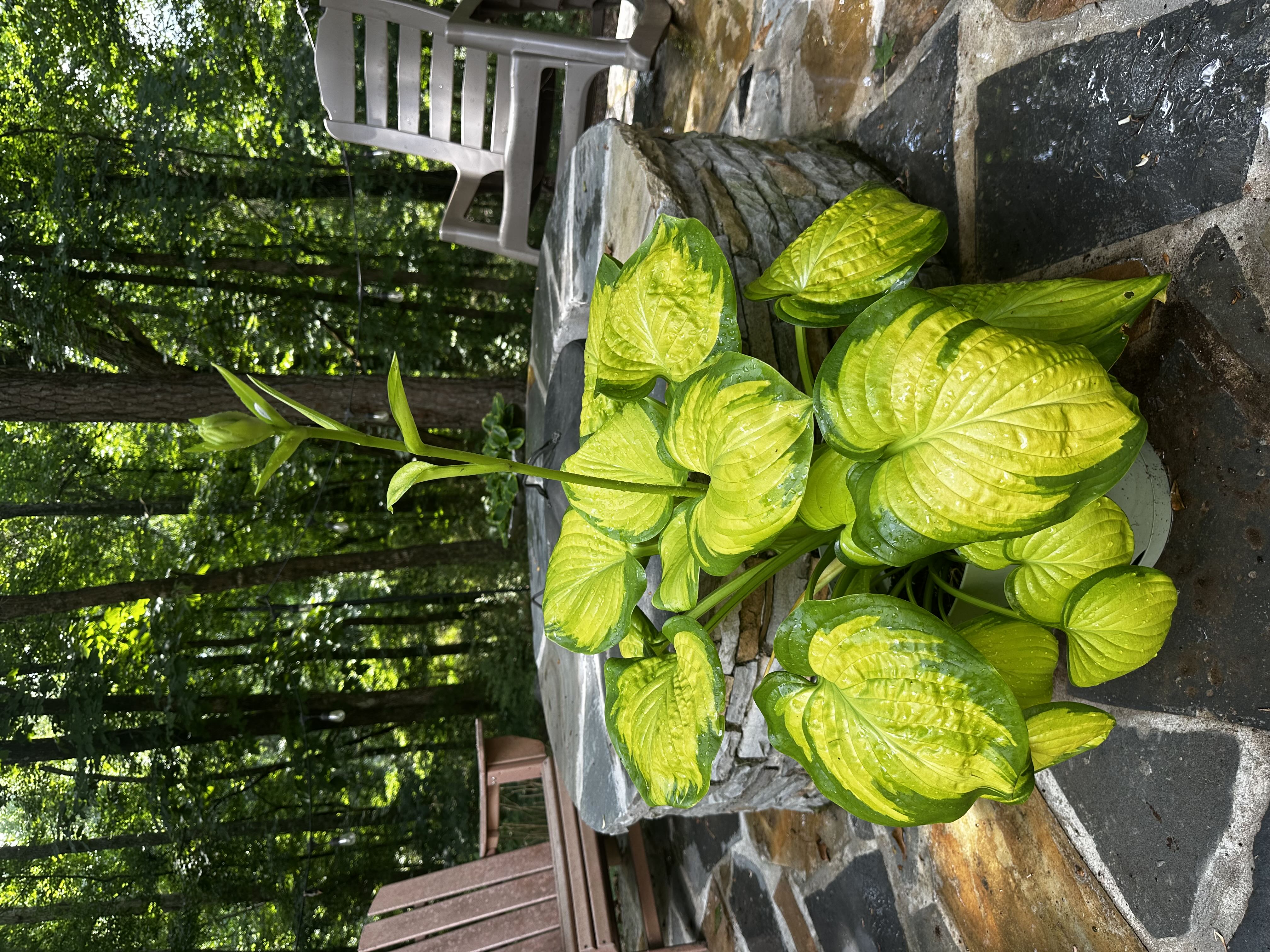 Photo from the post