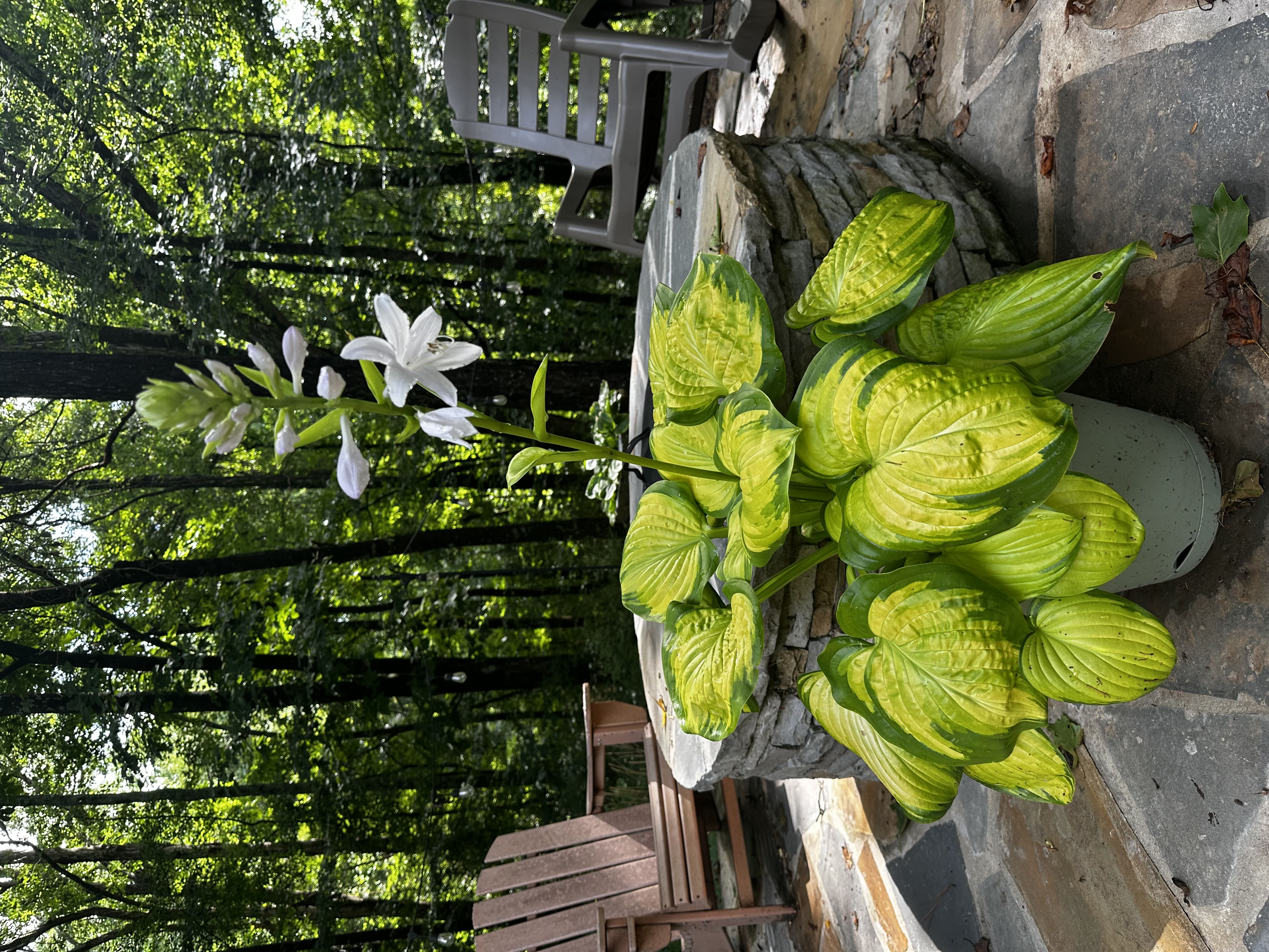 Photo from the post