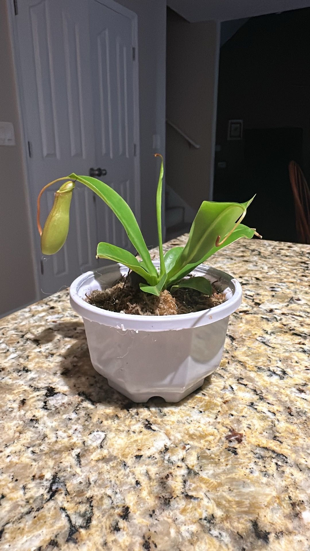 Photo from the post