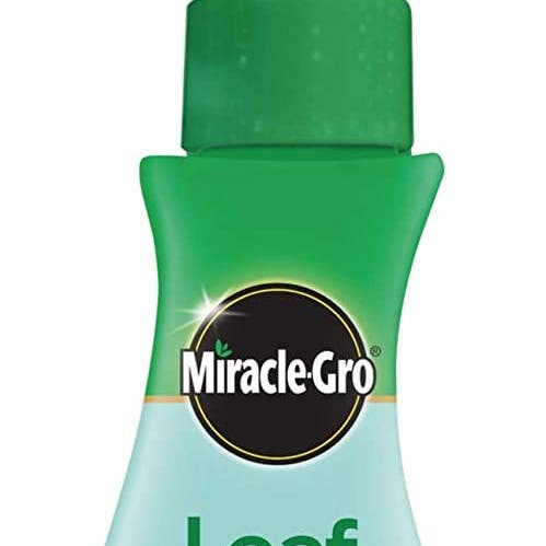 The Plant Farm - Miracle gro leaf shine Have indoor