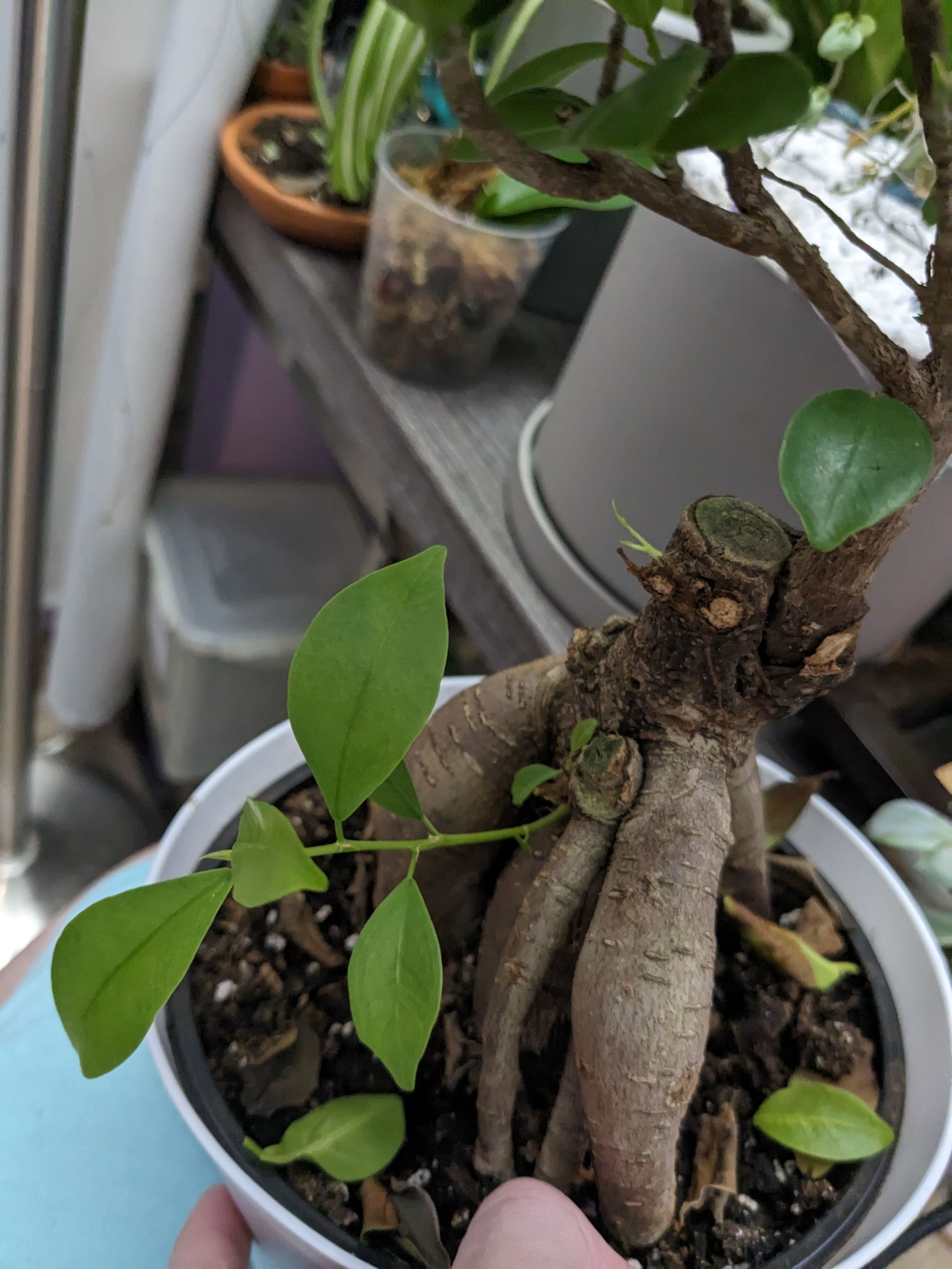 Photo from the post