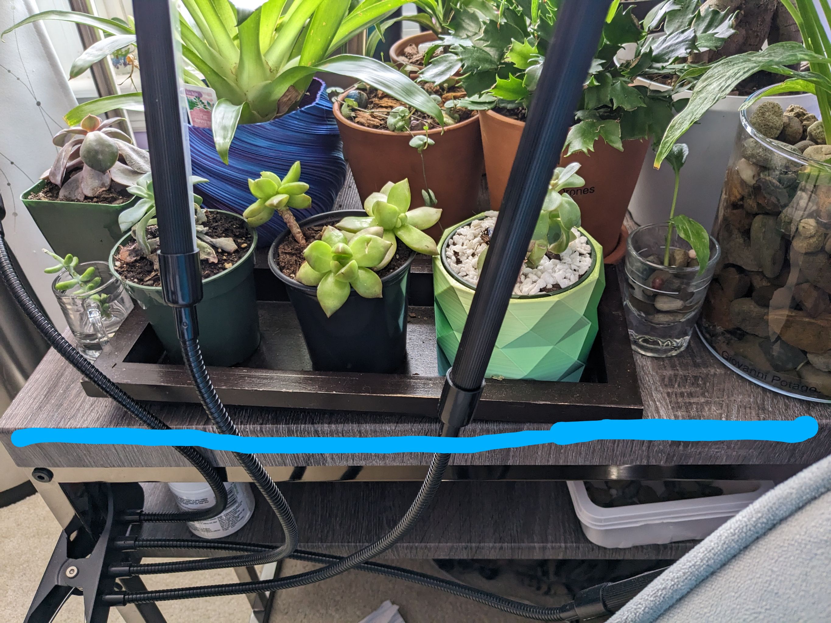 Photo from the post