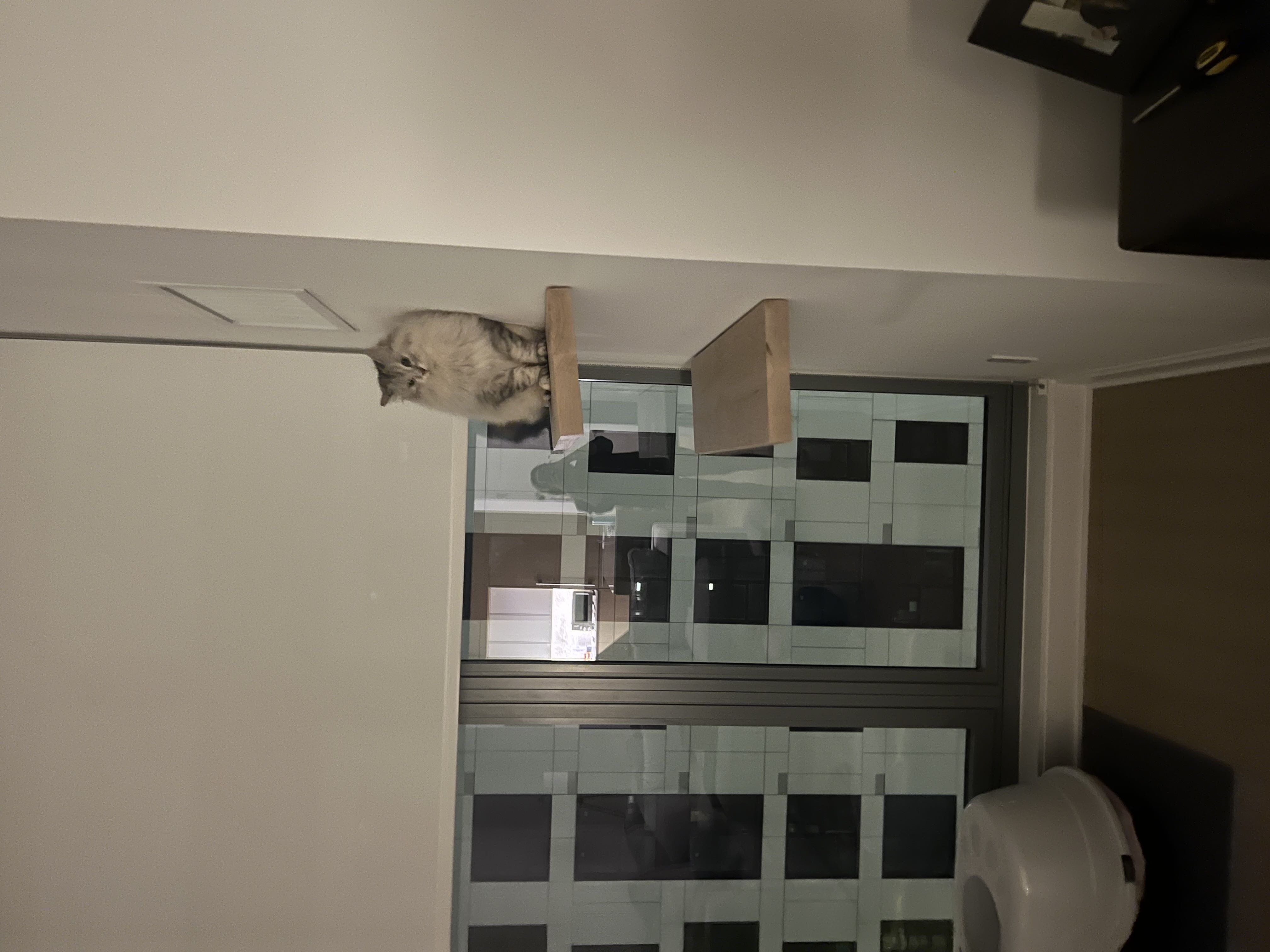 Photo from the post