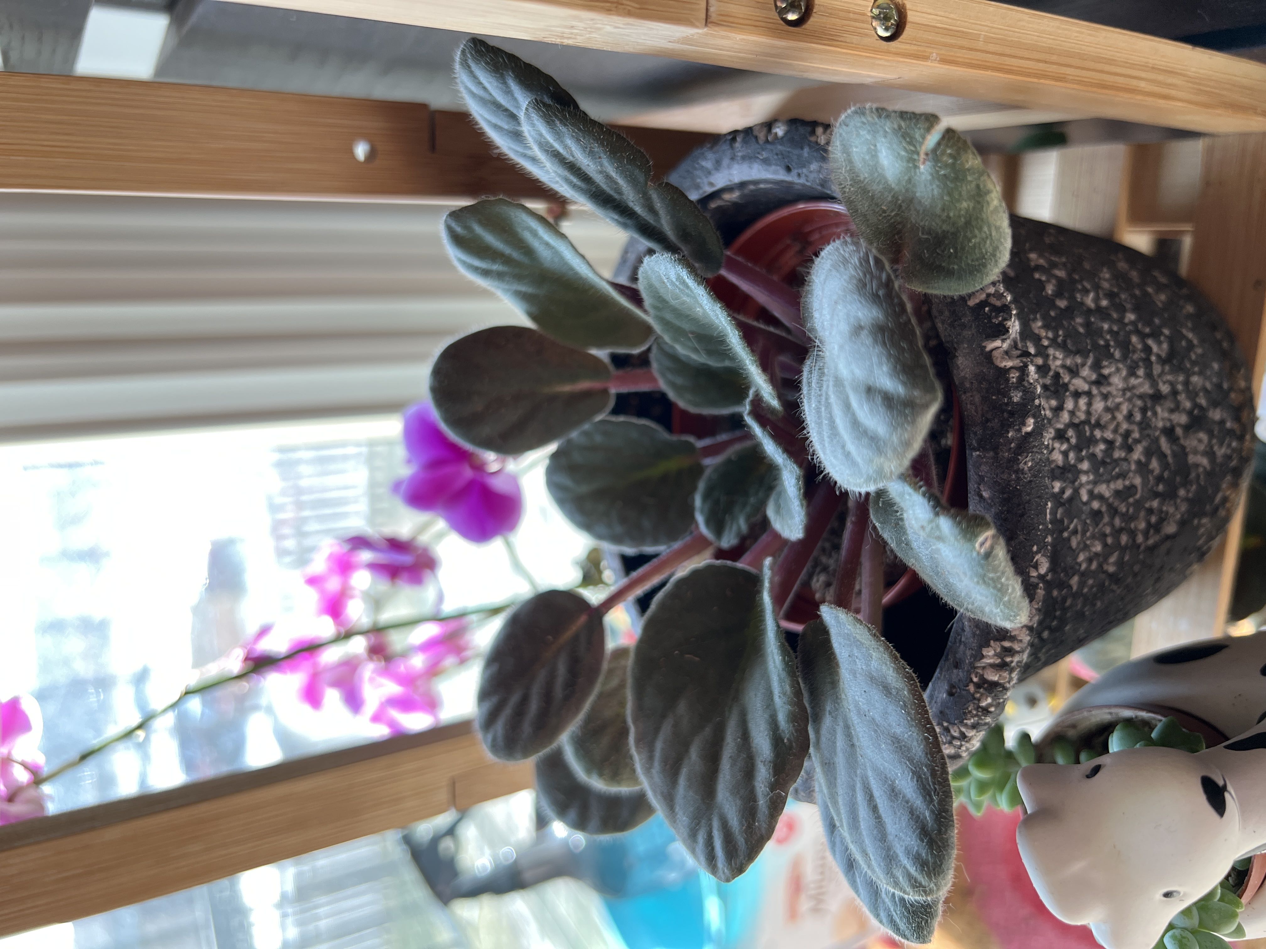 Photo from the post