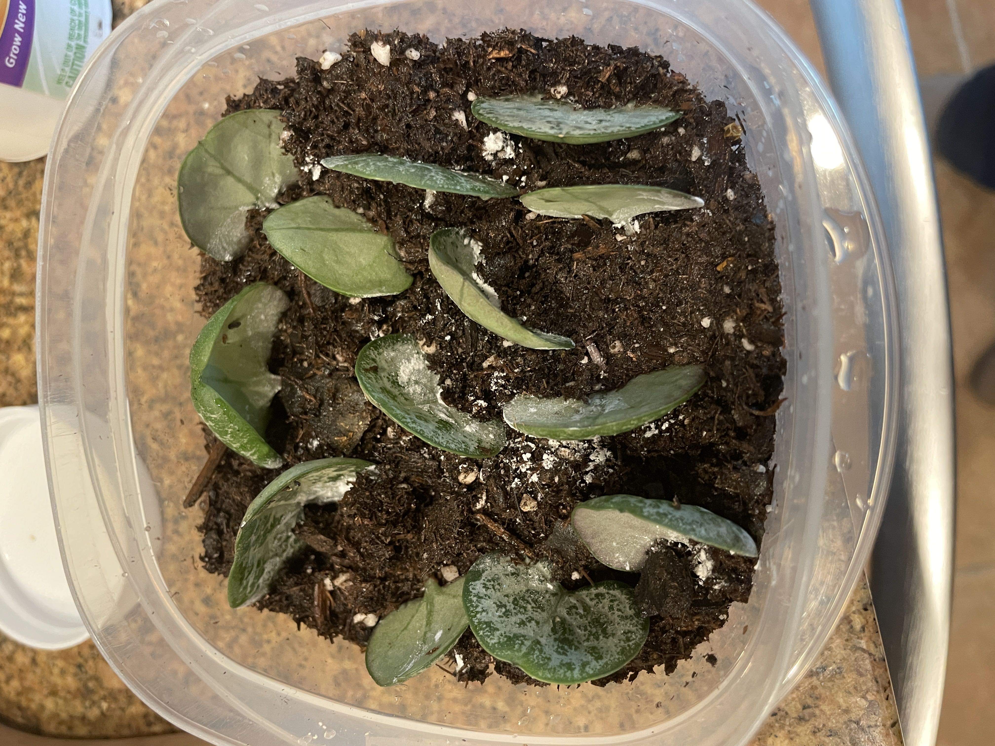 Photo from the post