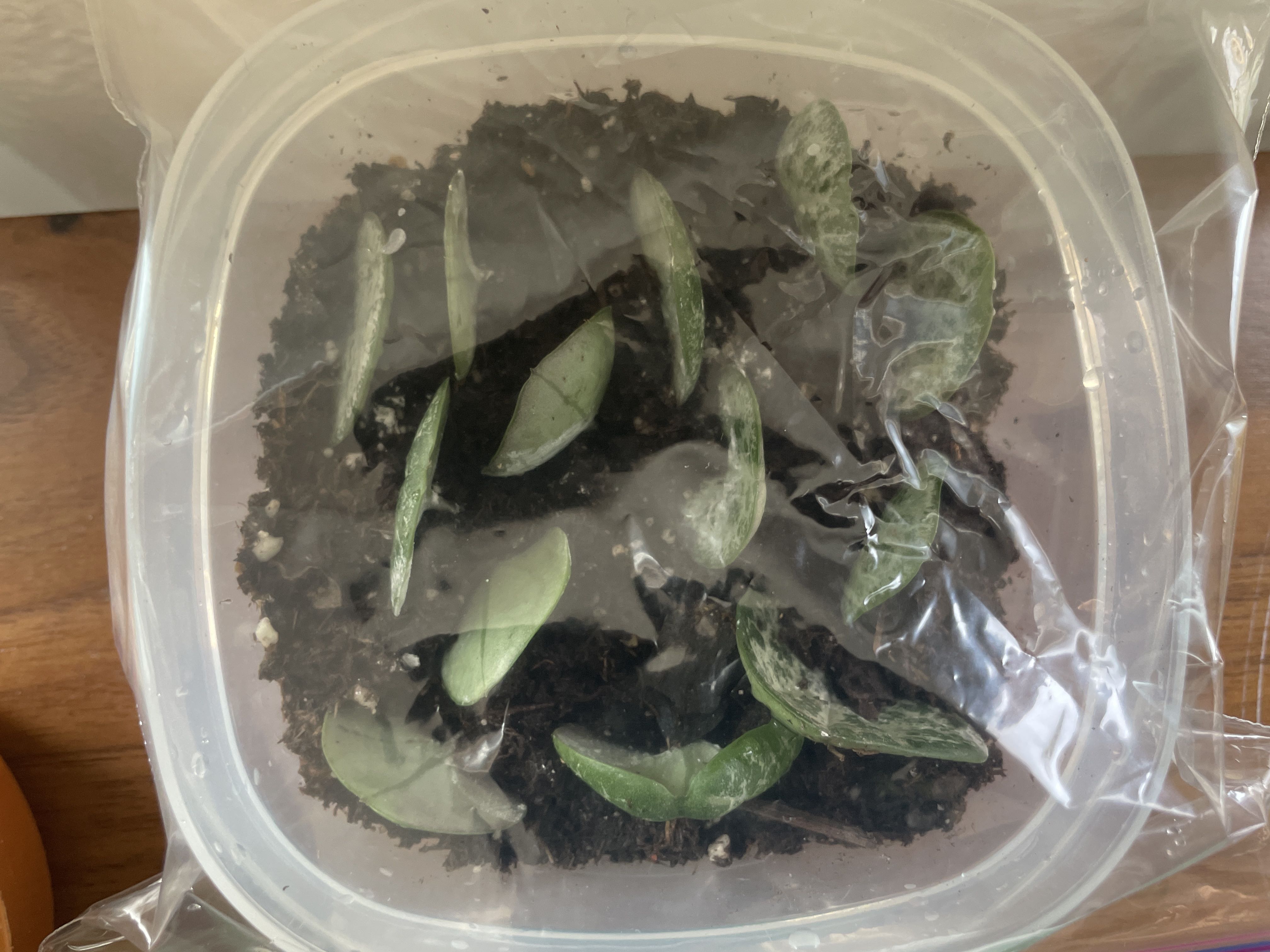 Photo from the post