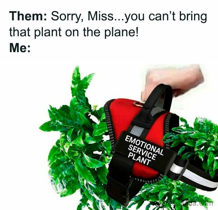 Photo from the post