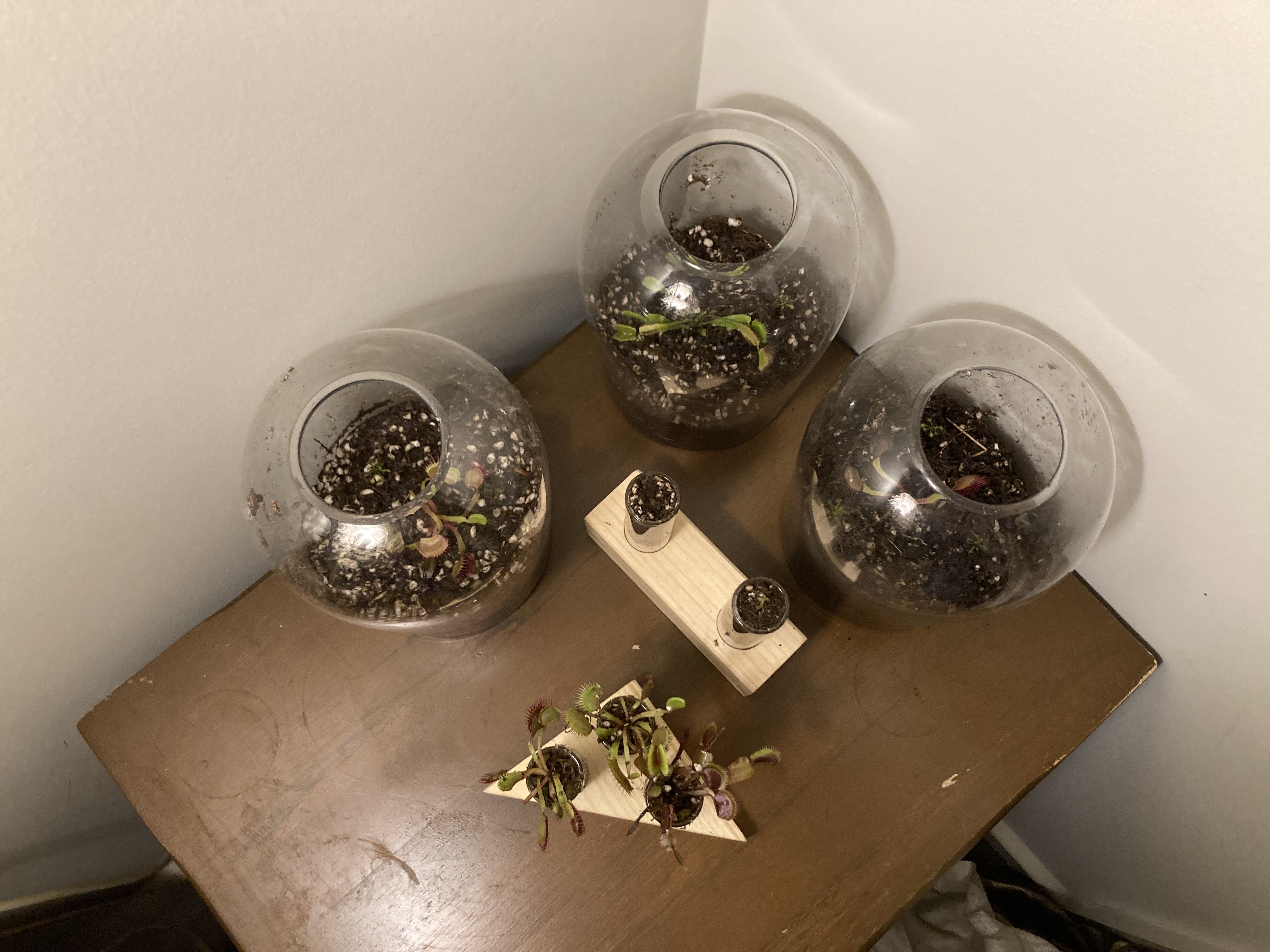 Photo from the post