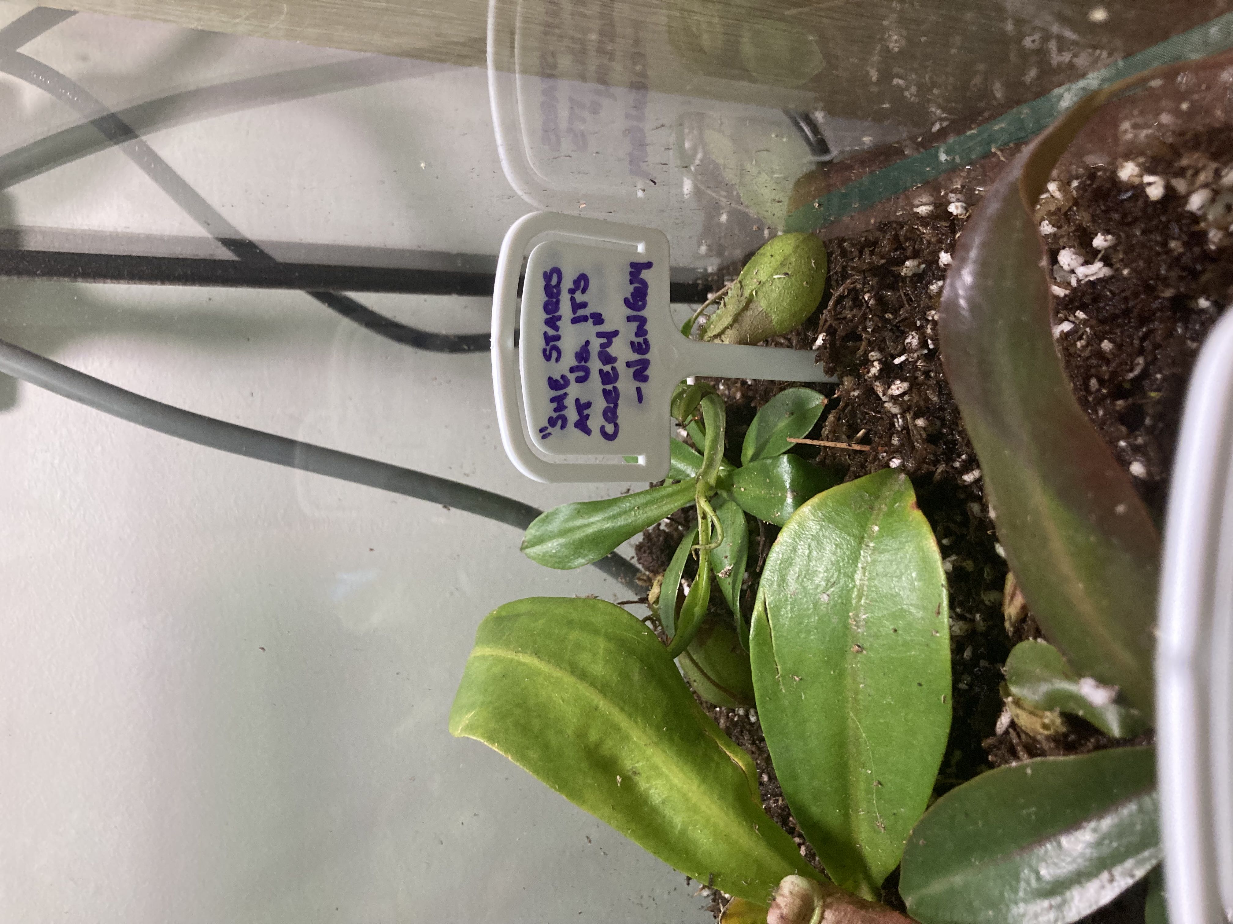 Photo from the post