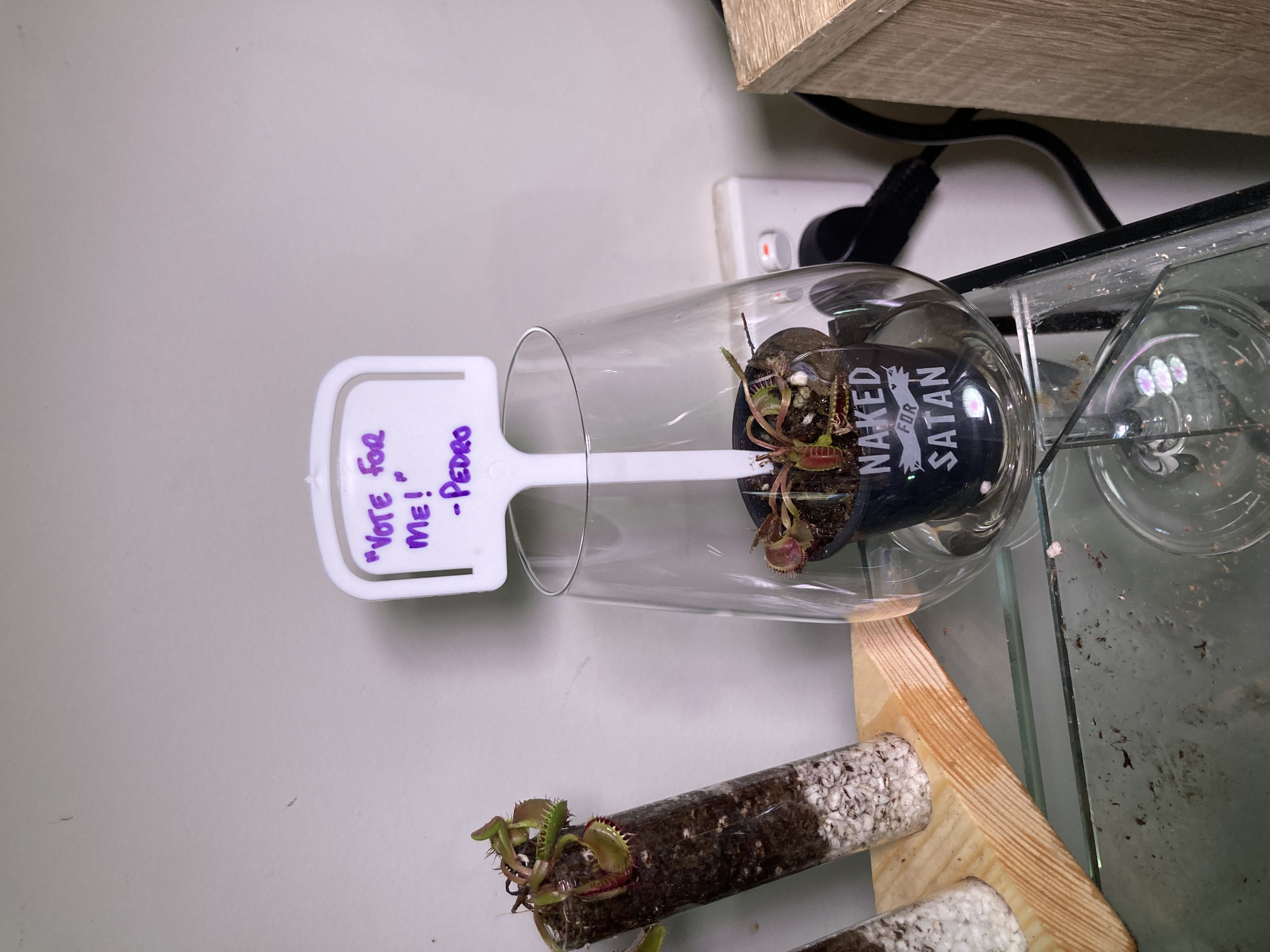 Photo from the post