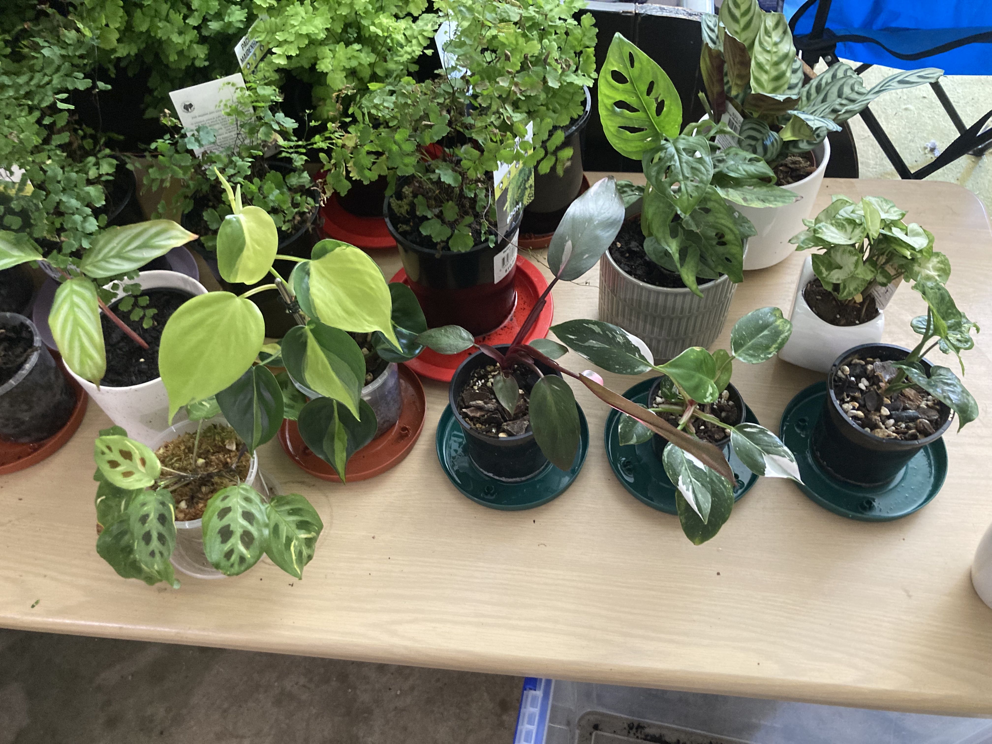 Photo from the post