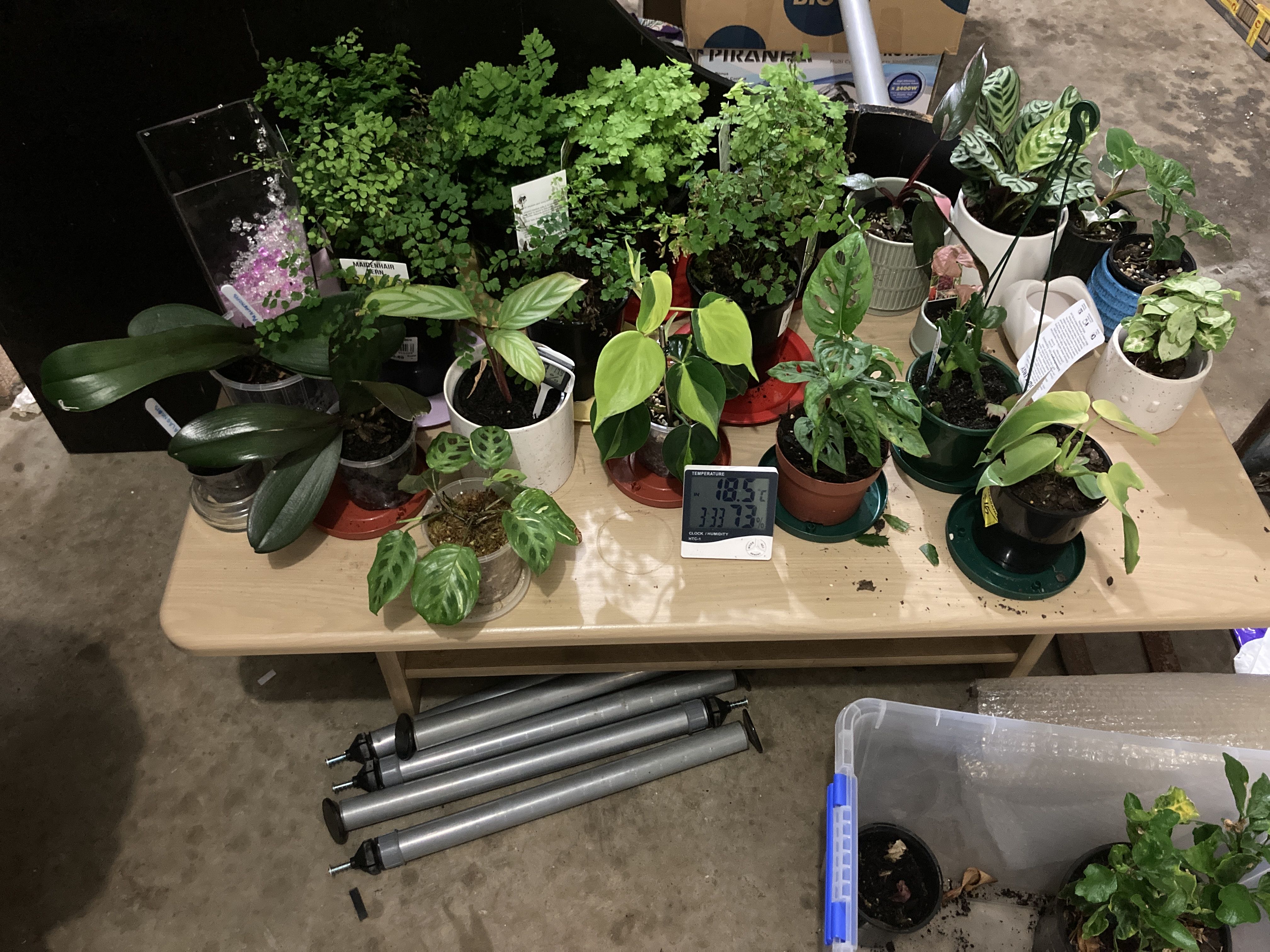 Photo from the post
