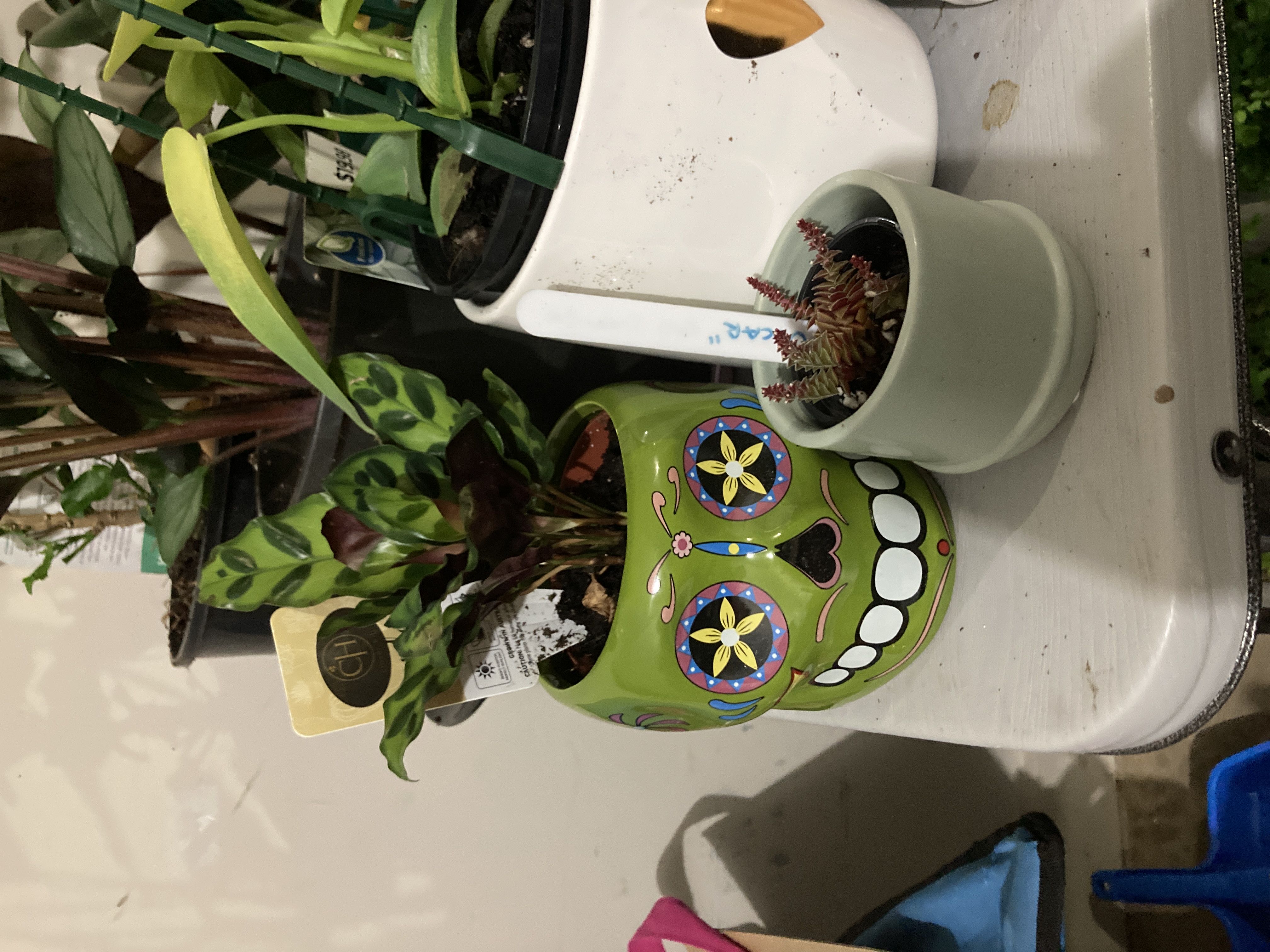 Photo from the post