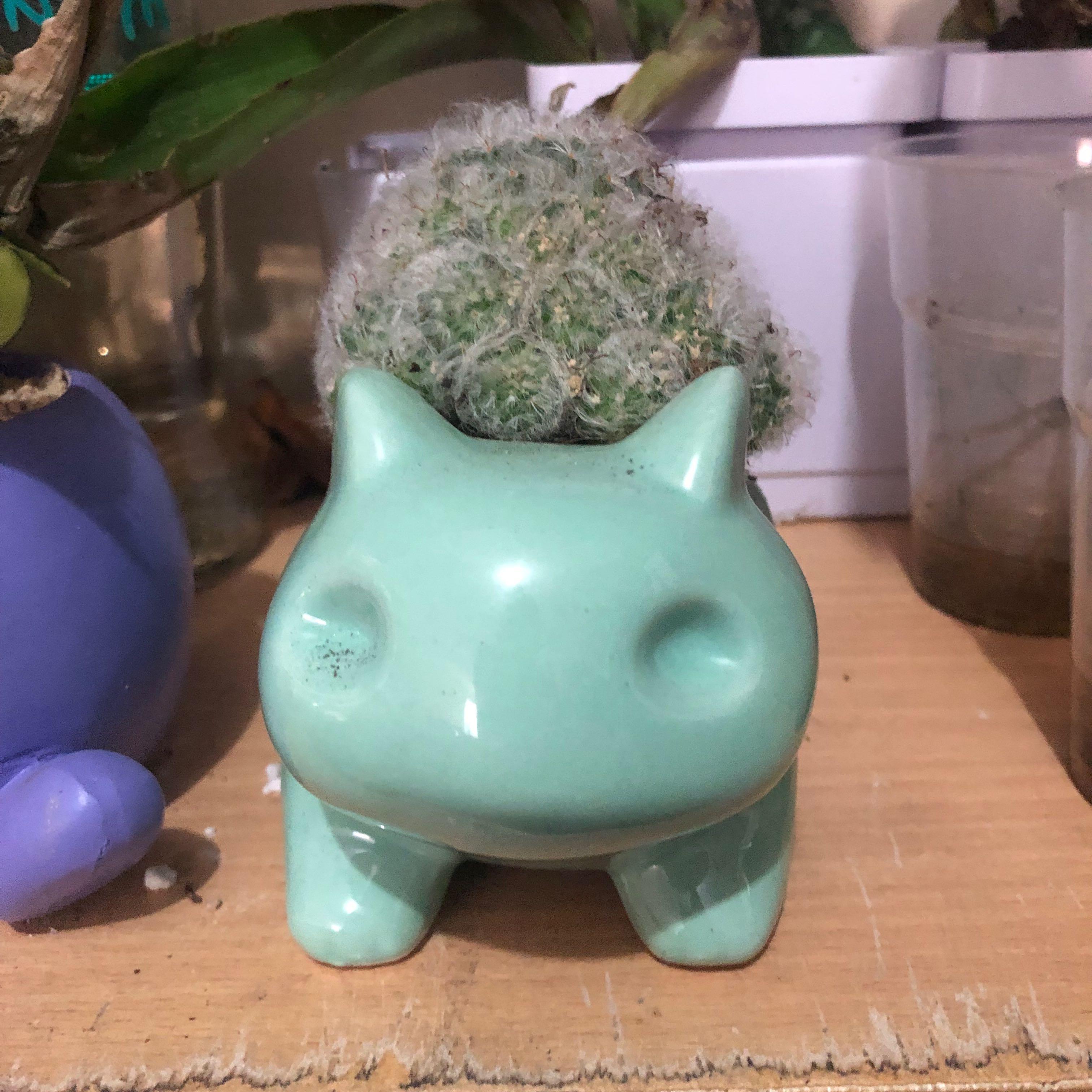 Venusaur