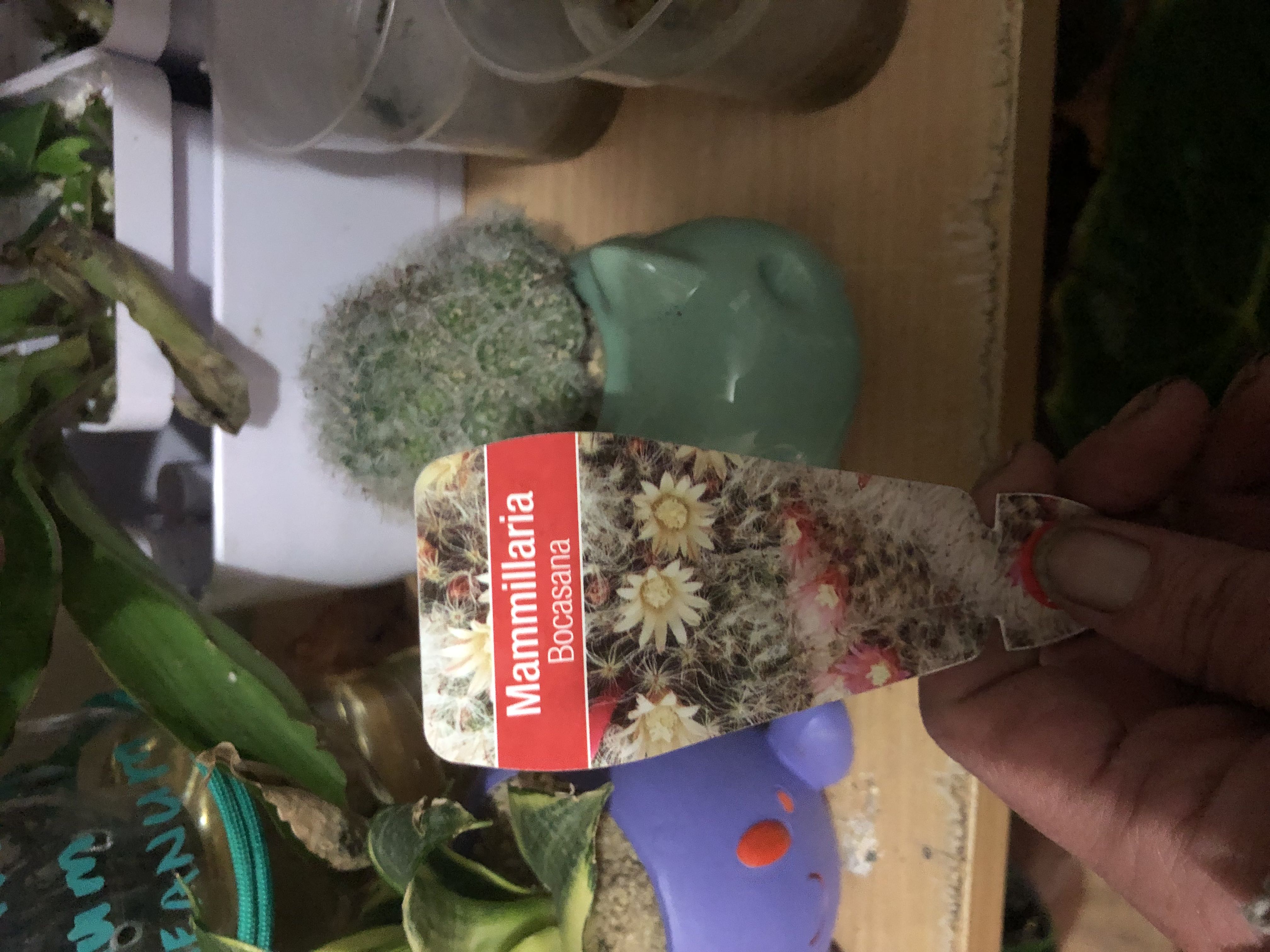 Photo from the post