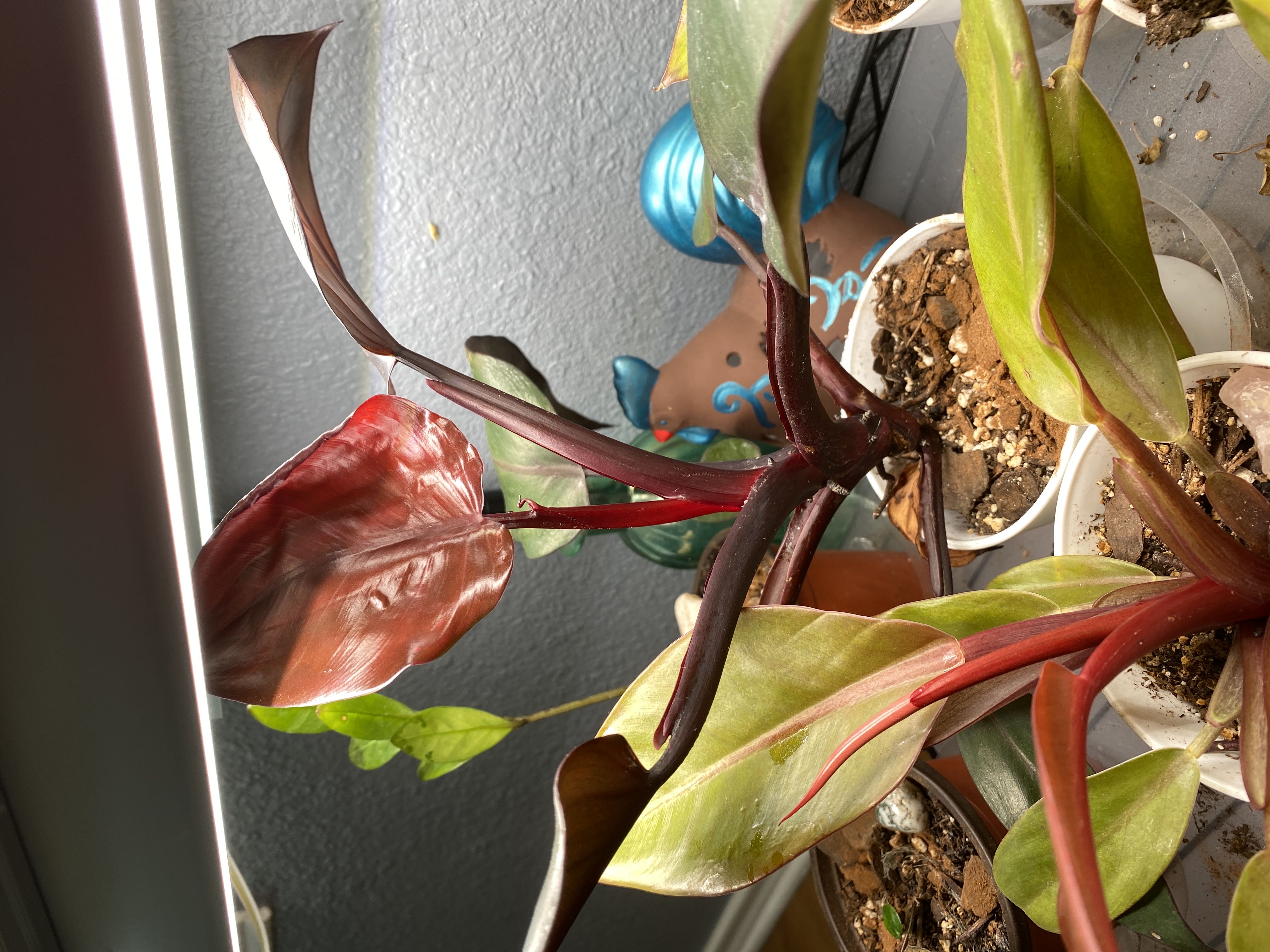 Photo from the post