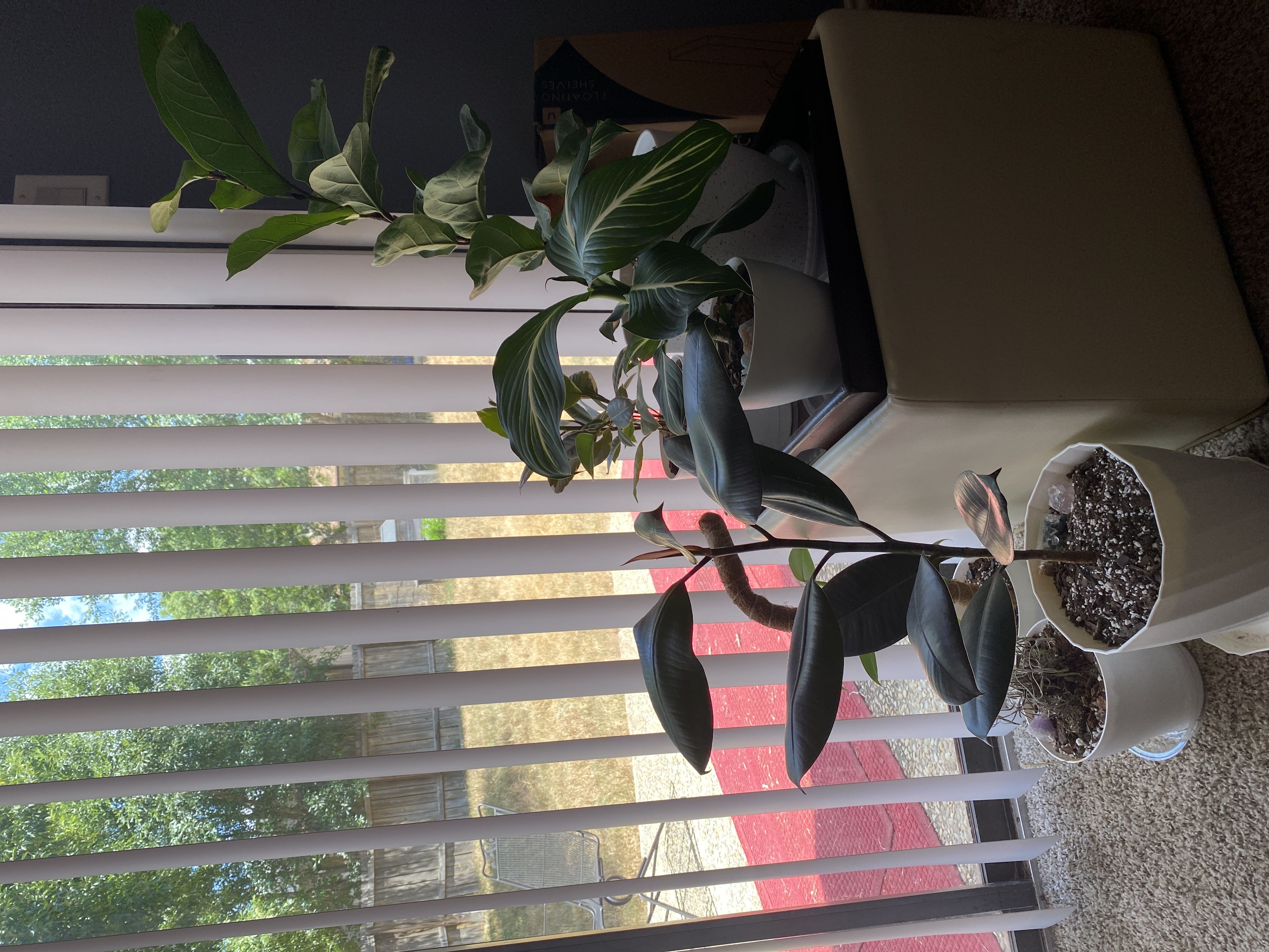 Photo from the post