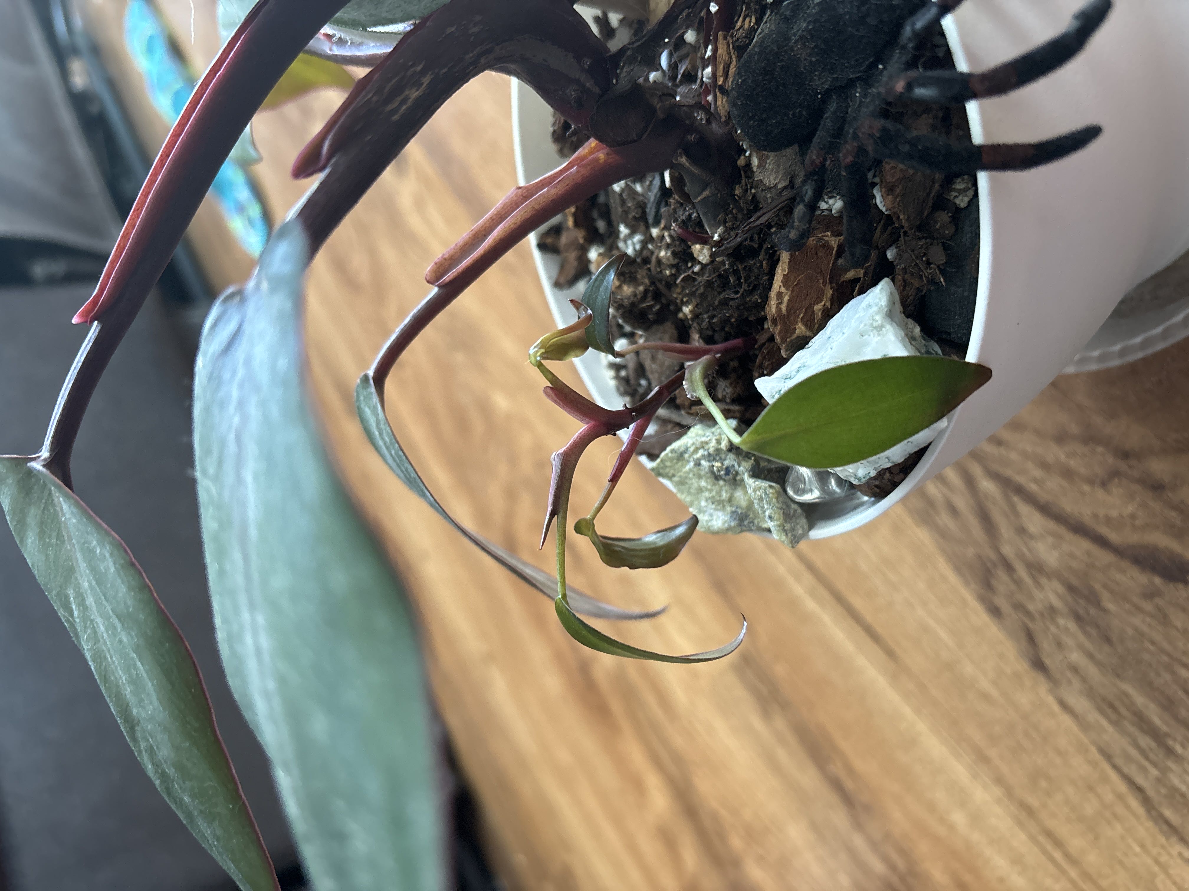 Photo from the post