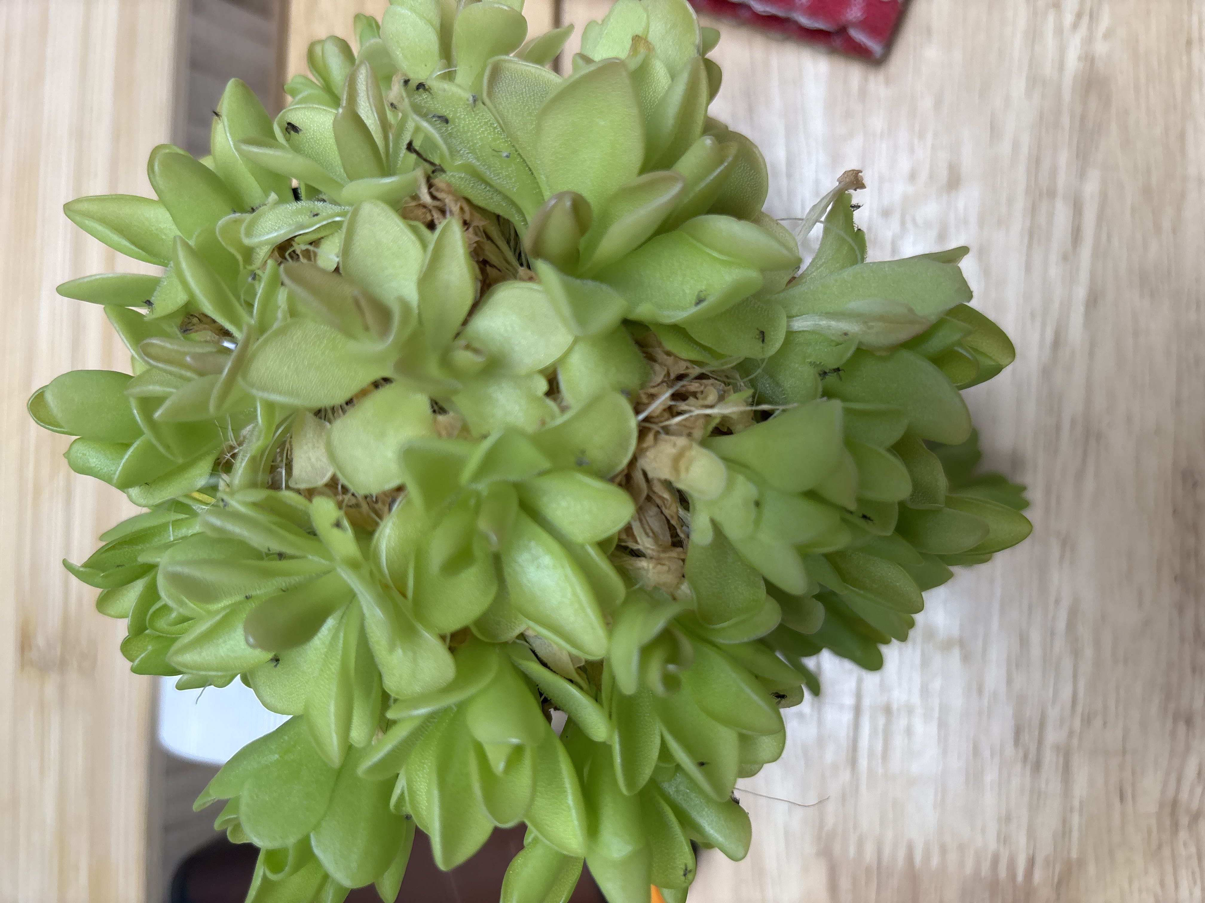 Photo from the post