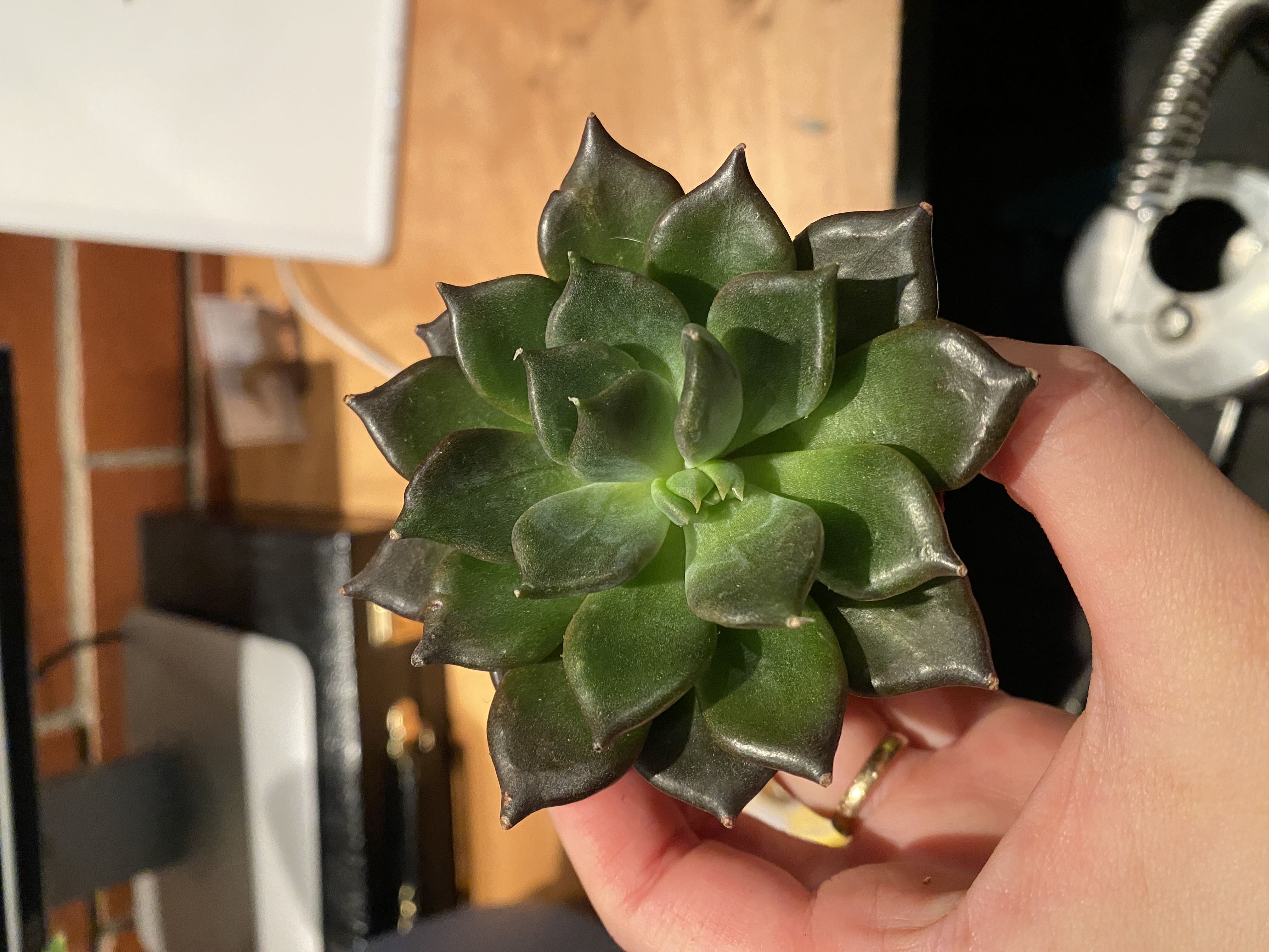 Photo from the post