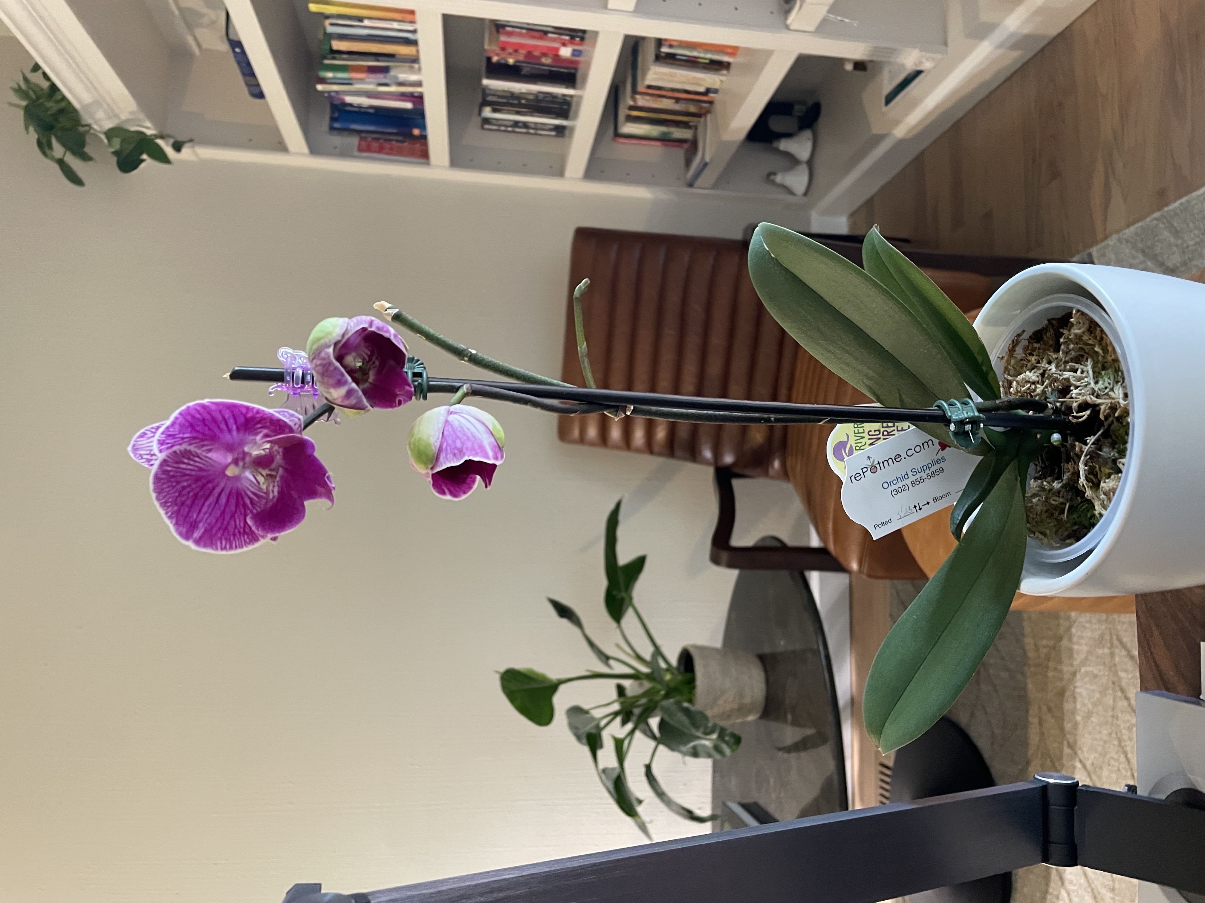 Photo from the post