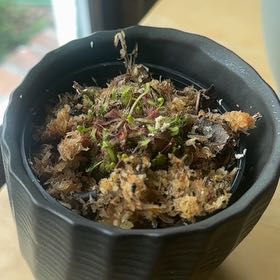 Photo of the plant species Common Sundew by @FinestRedbeech named Miley on Greg, the plant care app