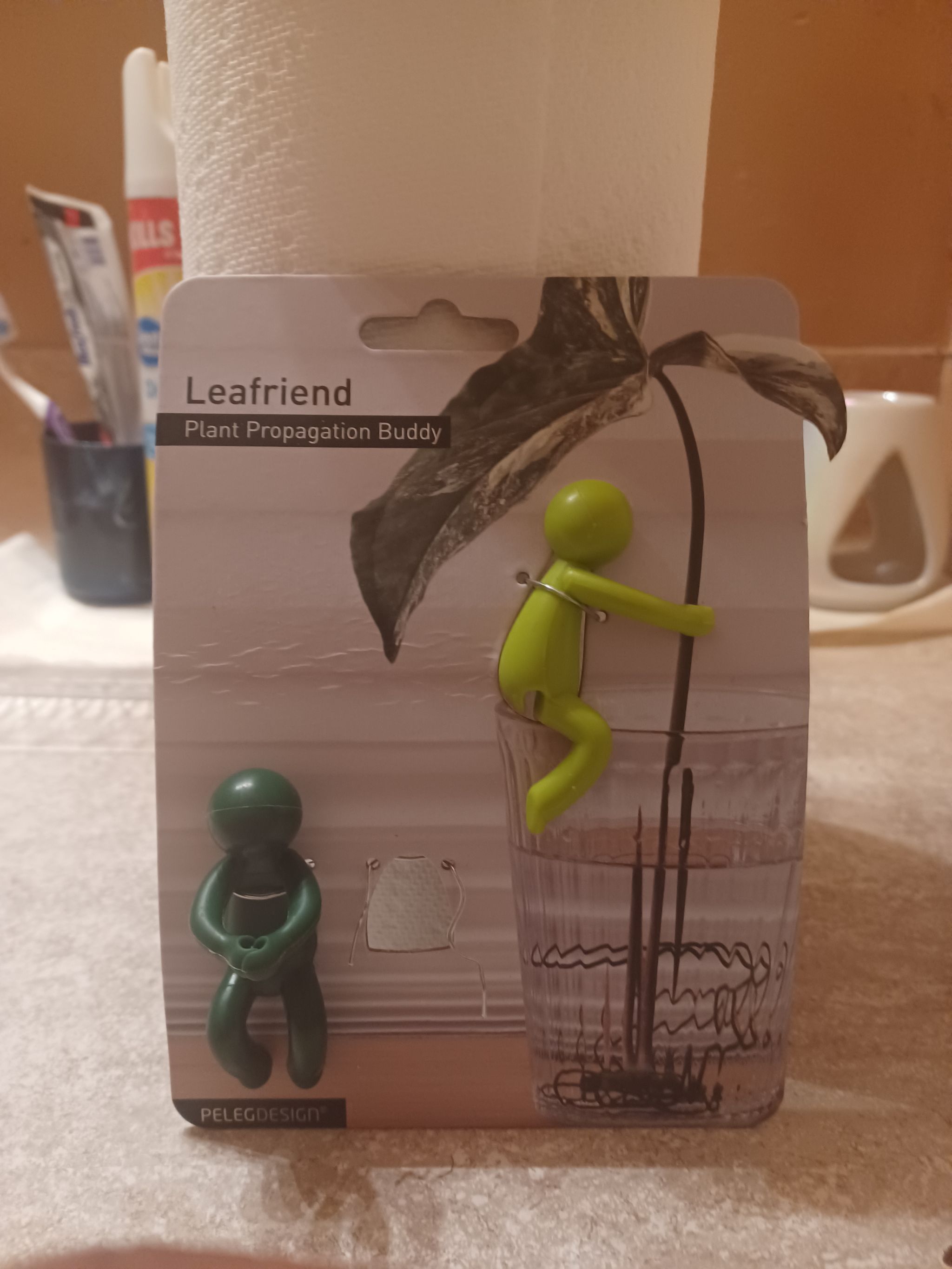 Photo from the post
