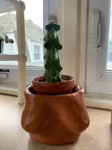 Photo from the post