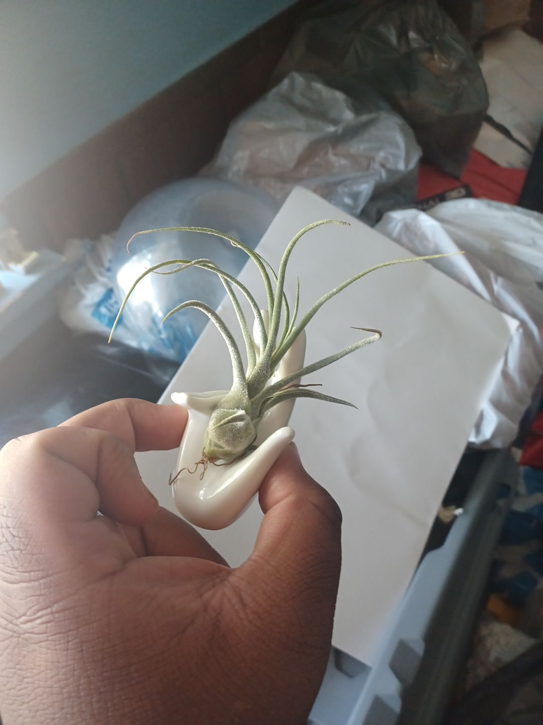 Photo from the post