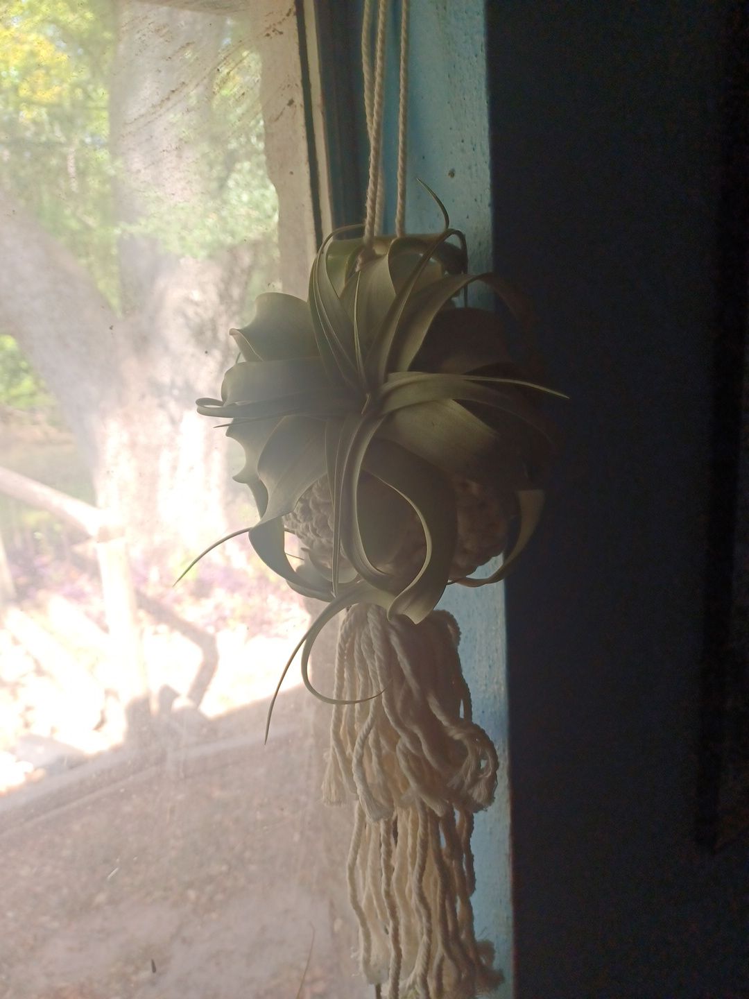 Photo from the post