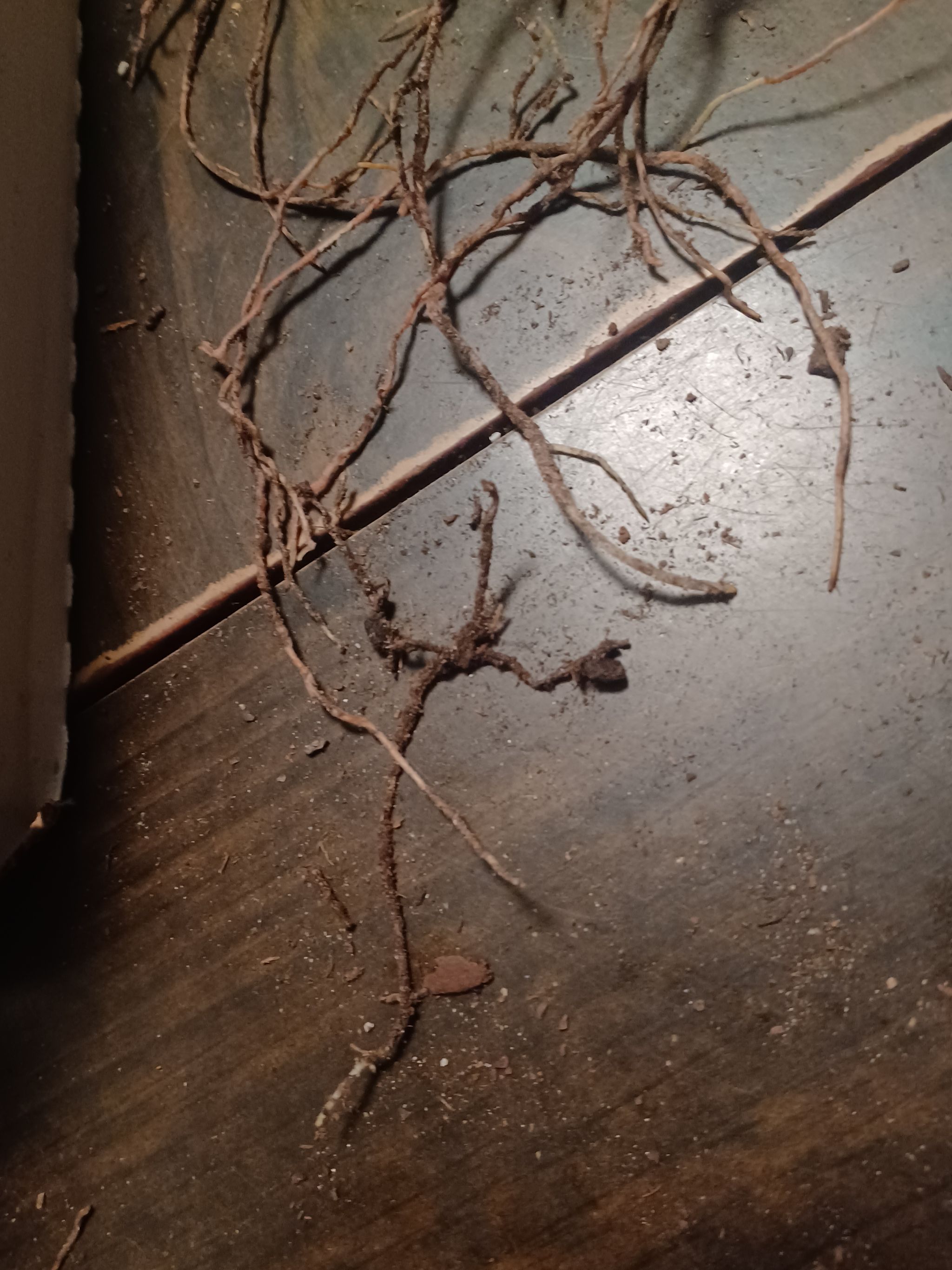 Photo from the post
