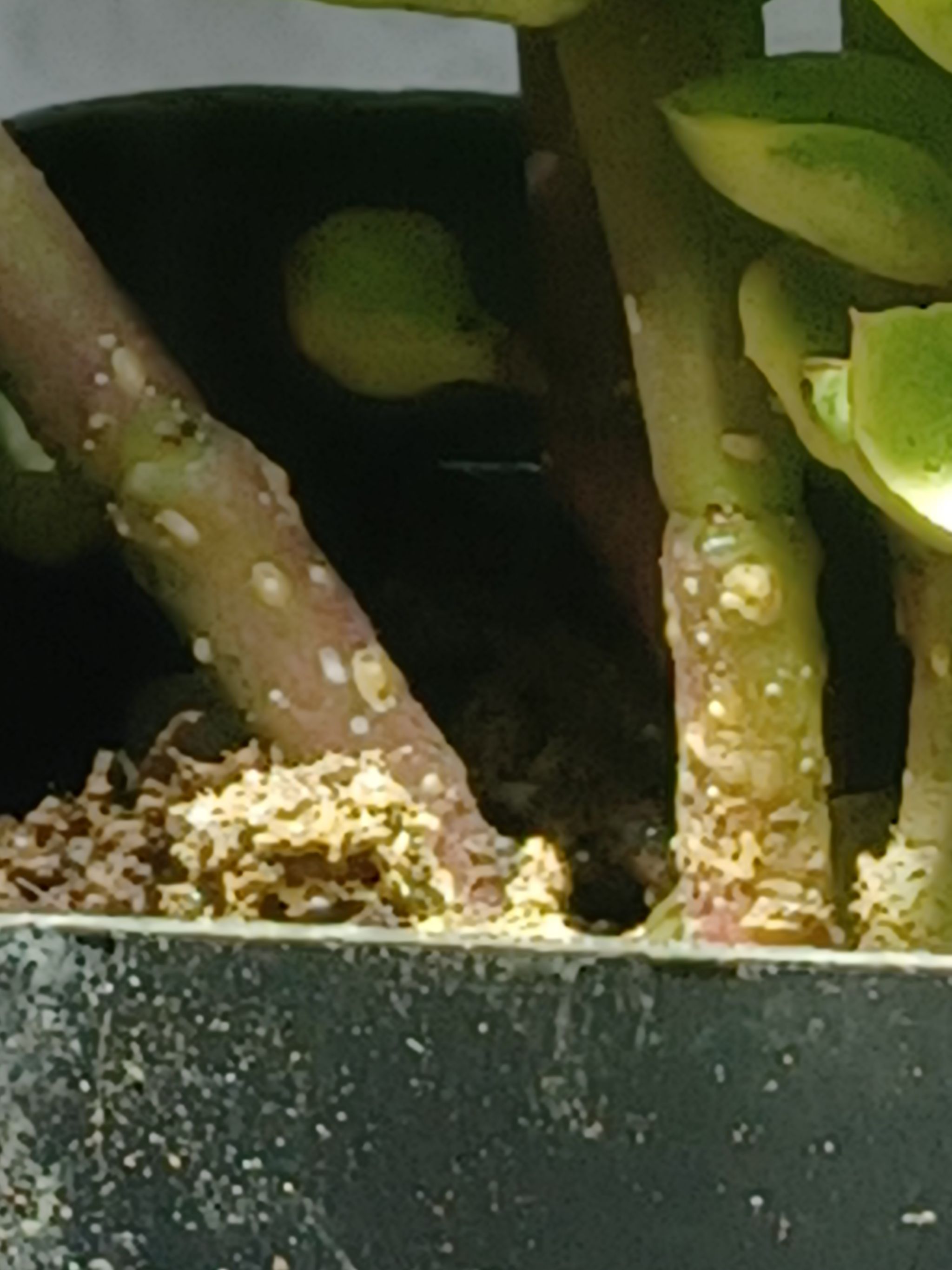 Photo from the post