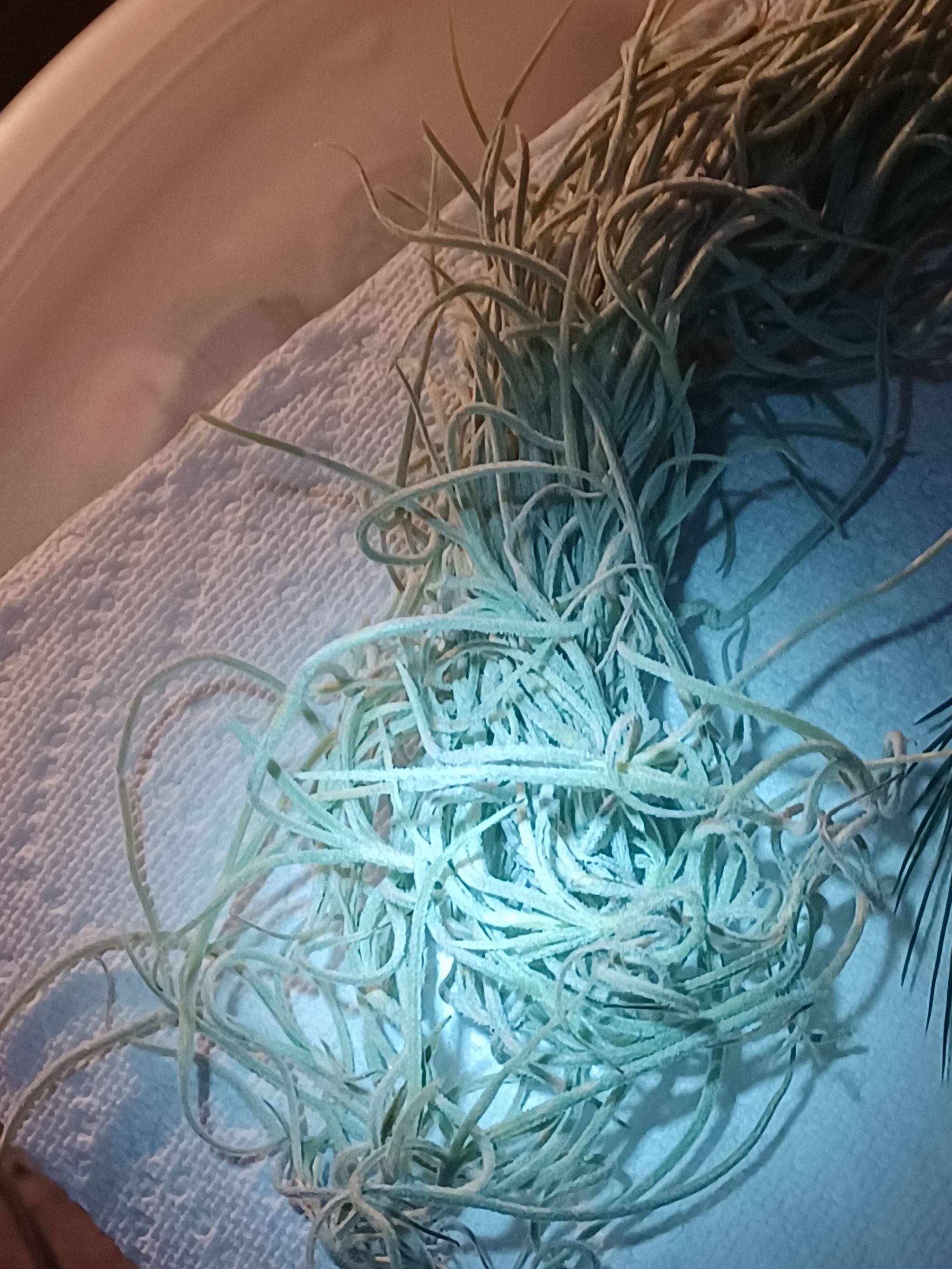 Photo from the post