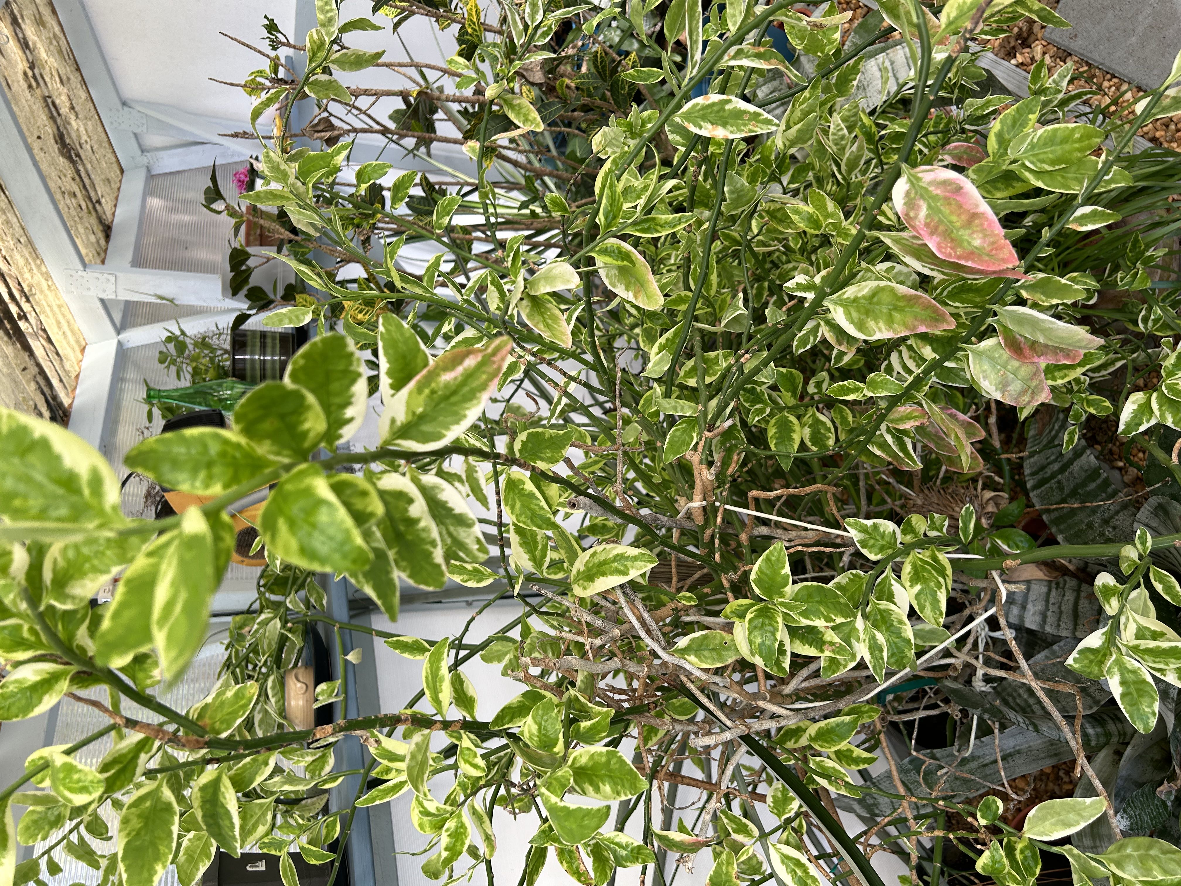 Photo from the post