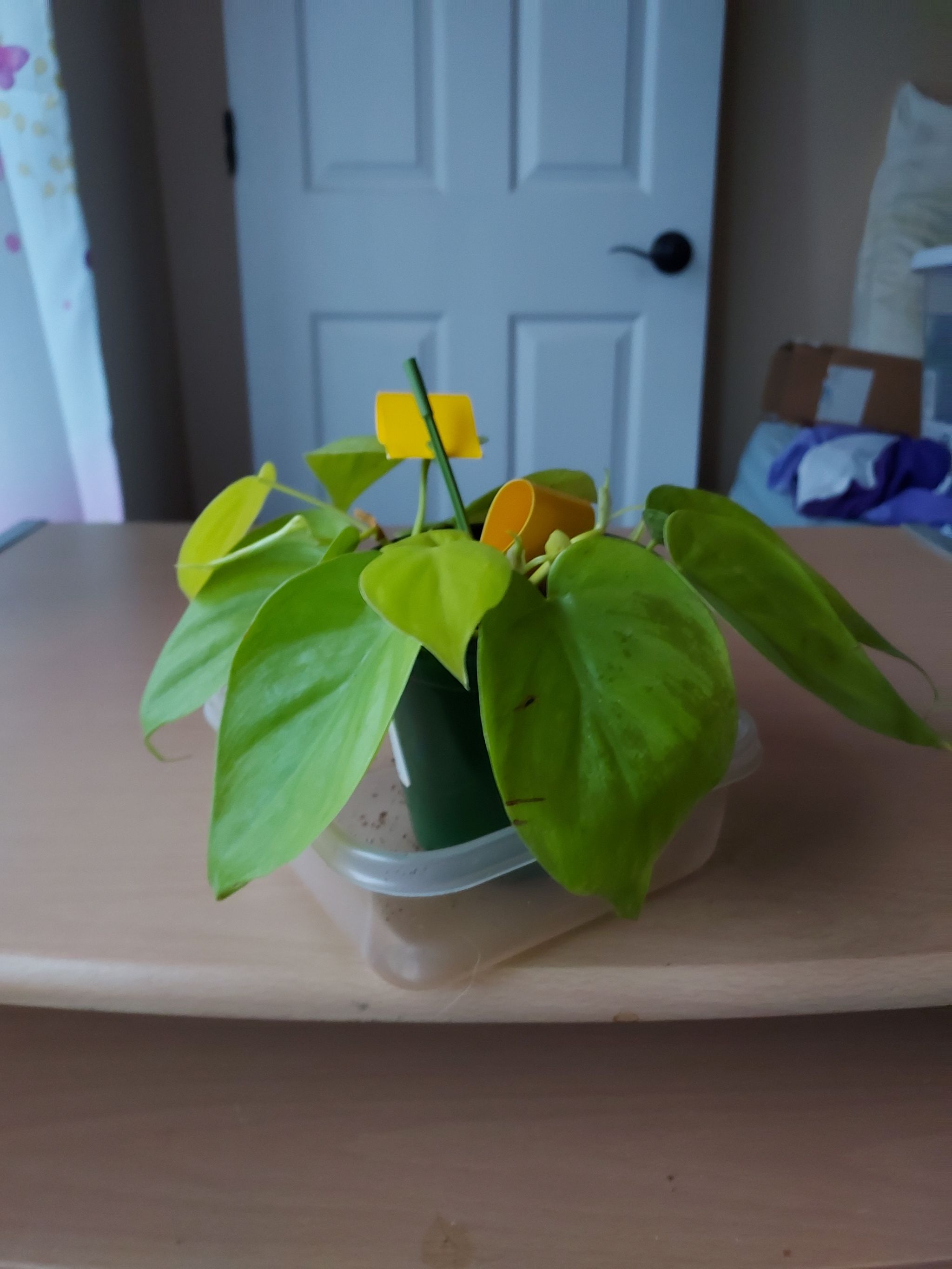 Photo from the post