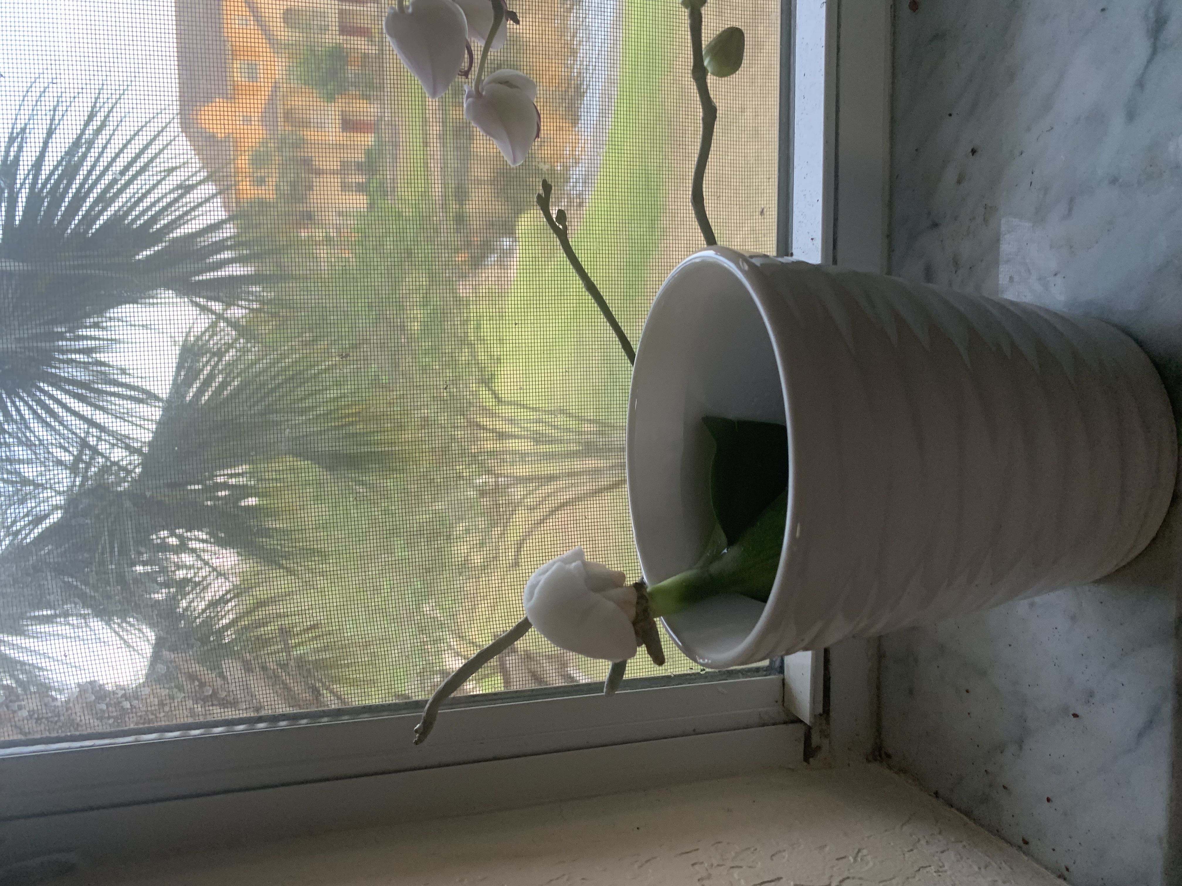 Photo from the post