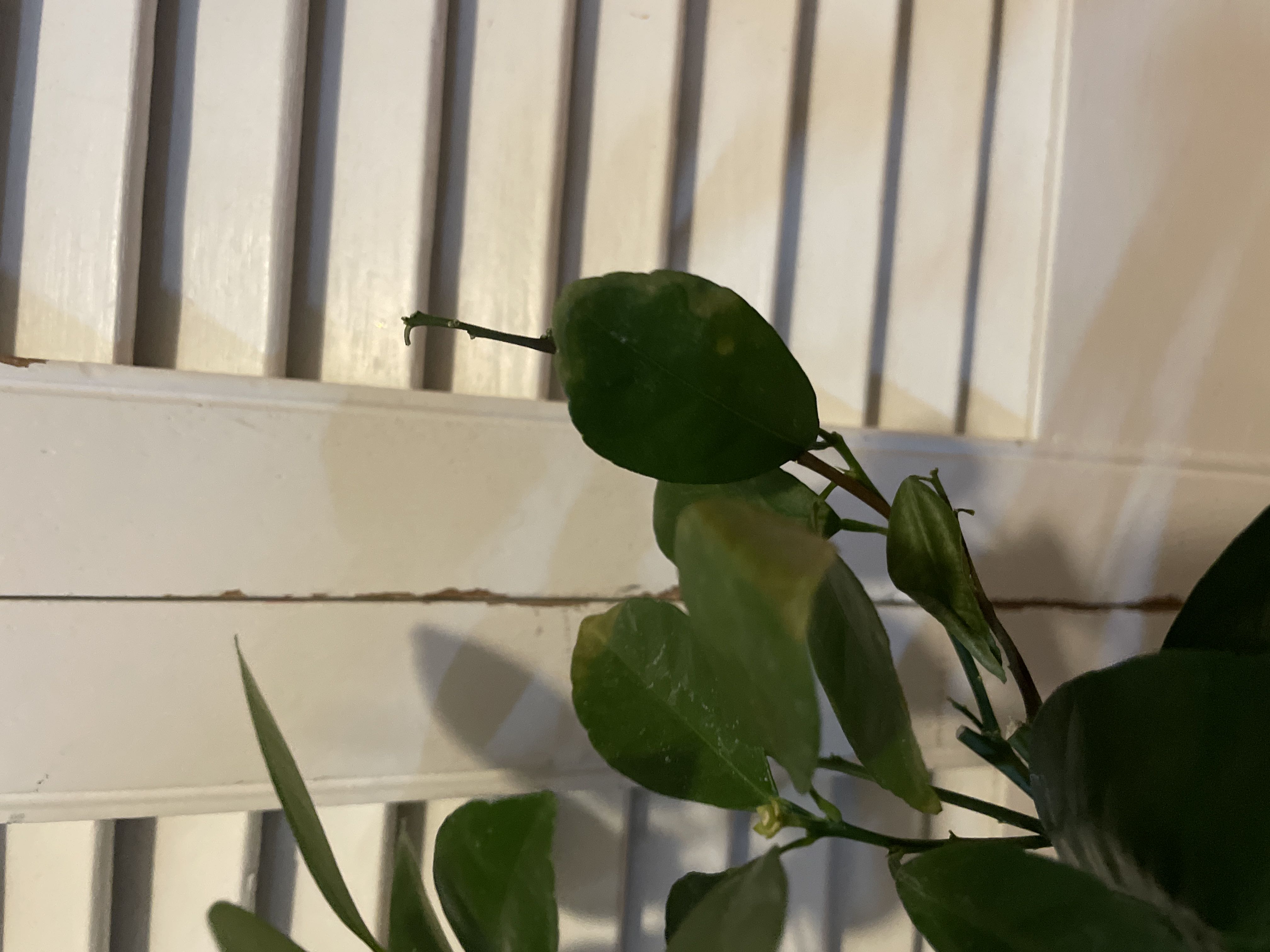 Photo from the post