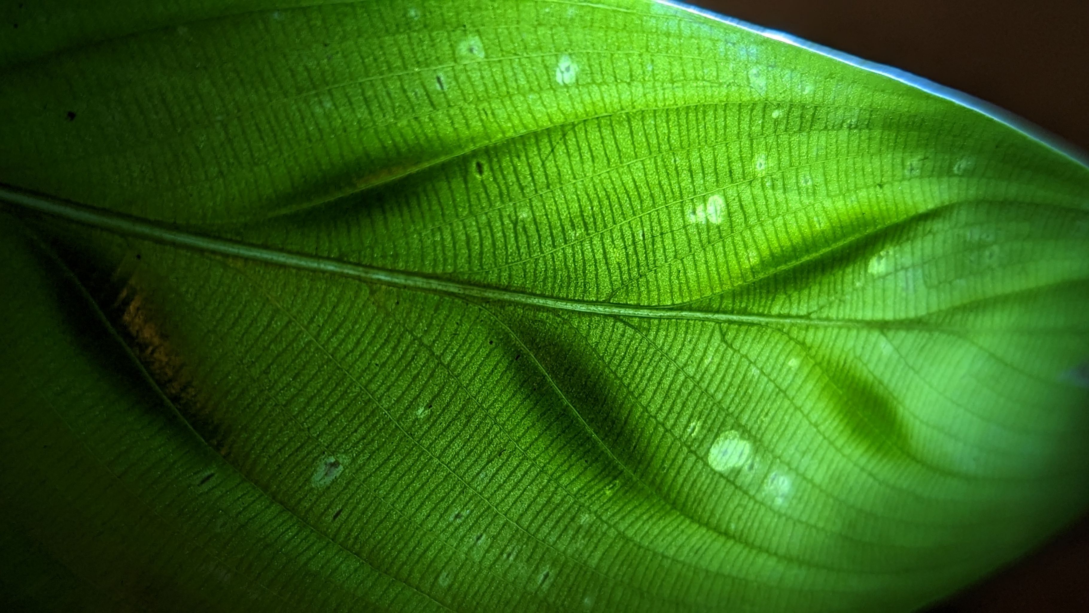 Photo from the post