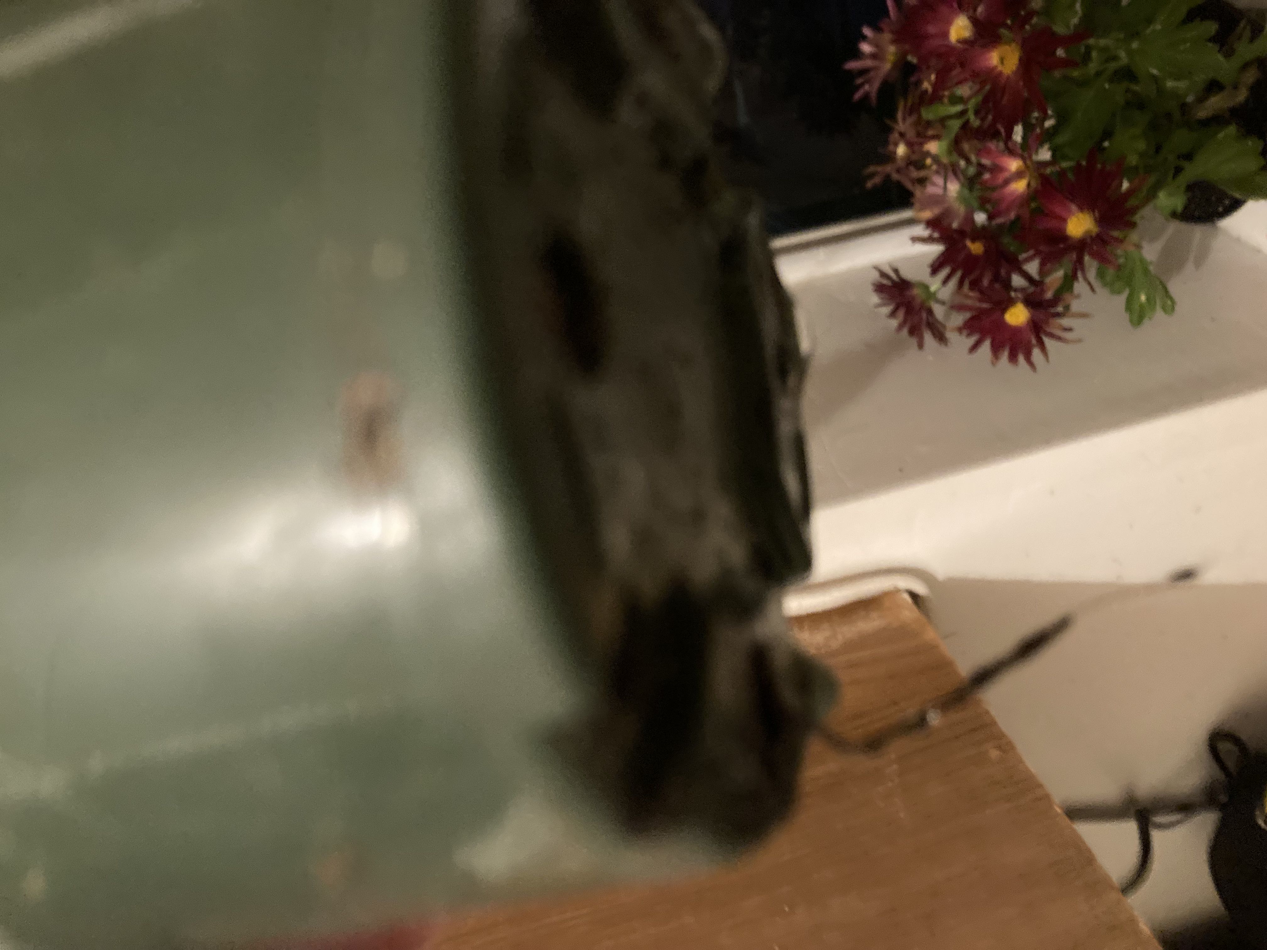 Photo from the post