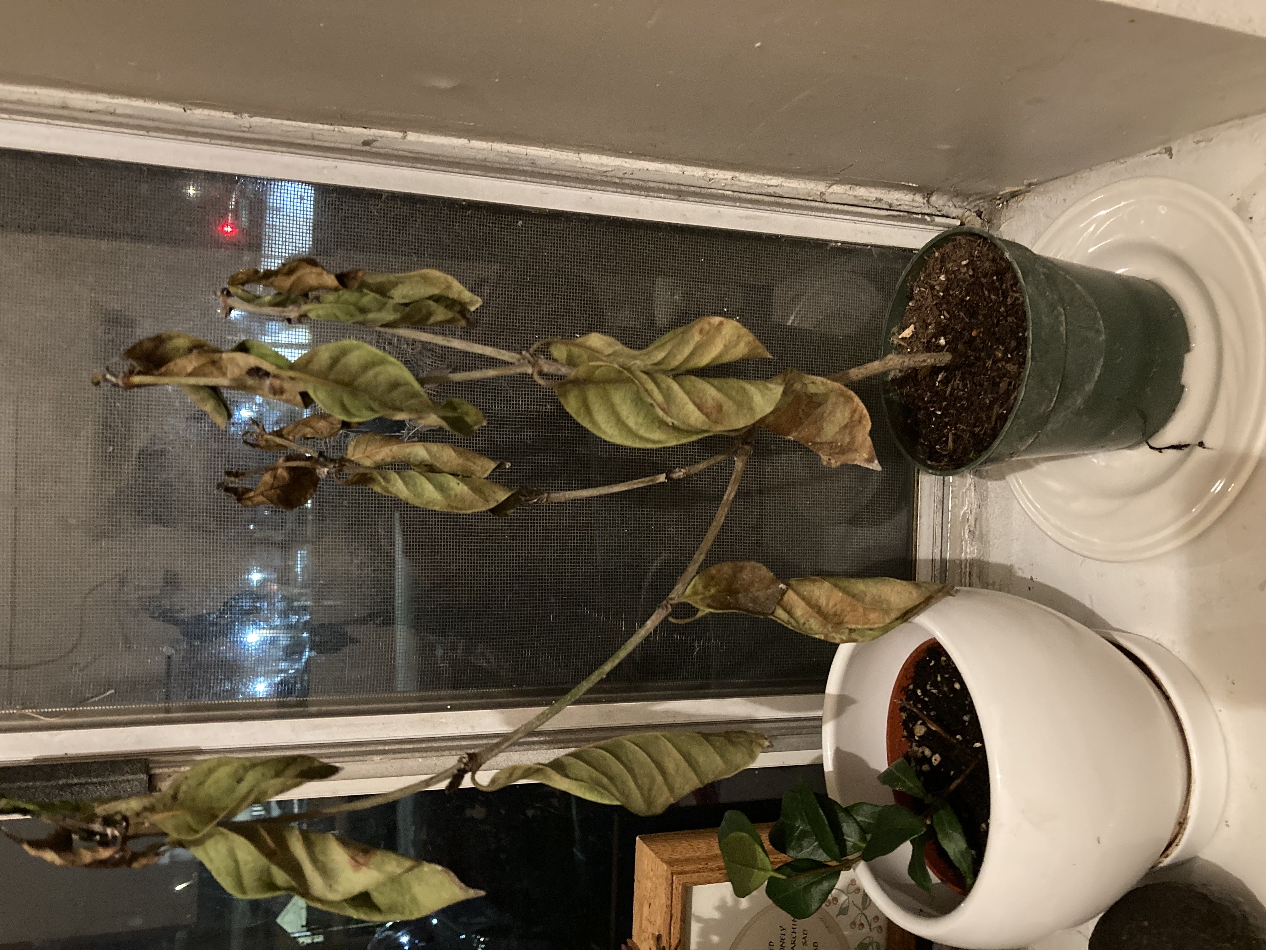 Photo from the post